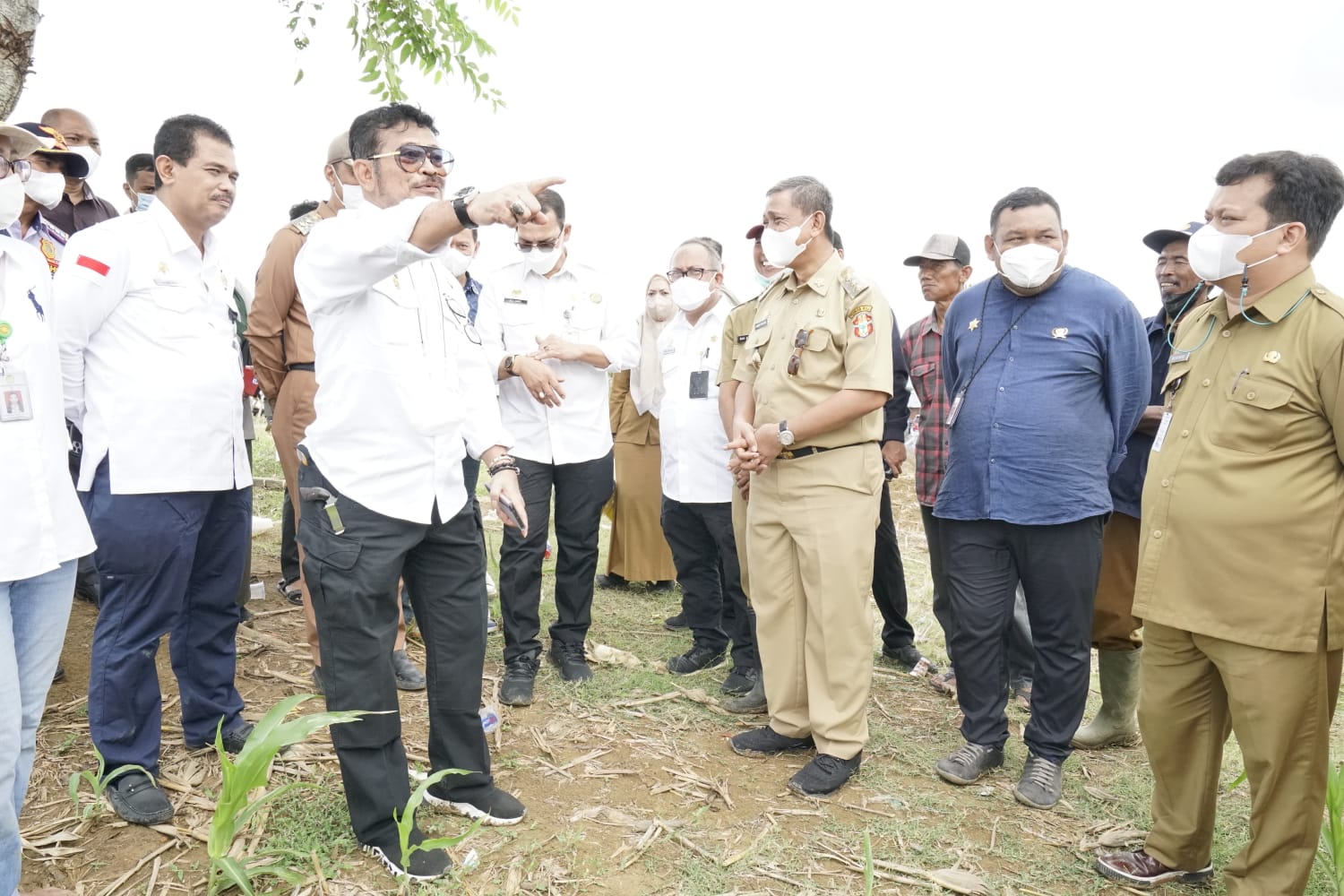 Mentan Syahrul Yasin Limpo saat melakukan kunjungan kerja ke daerah. 