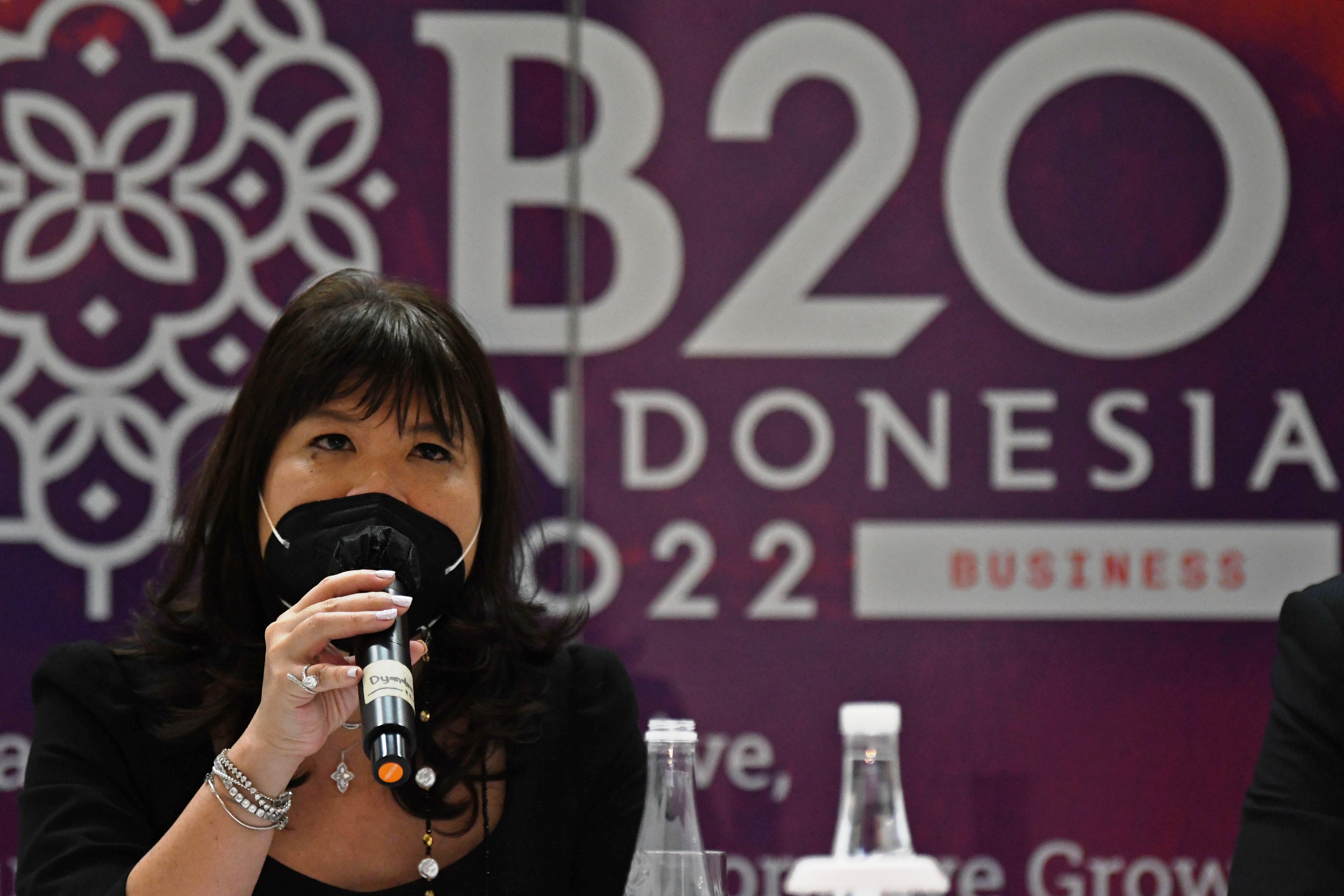 Wakil Ketua Umum Kamar Dagang dan Industri (Kadin) Indonesia Shinta Widjaja Kamdani.