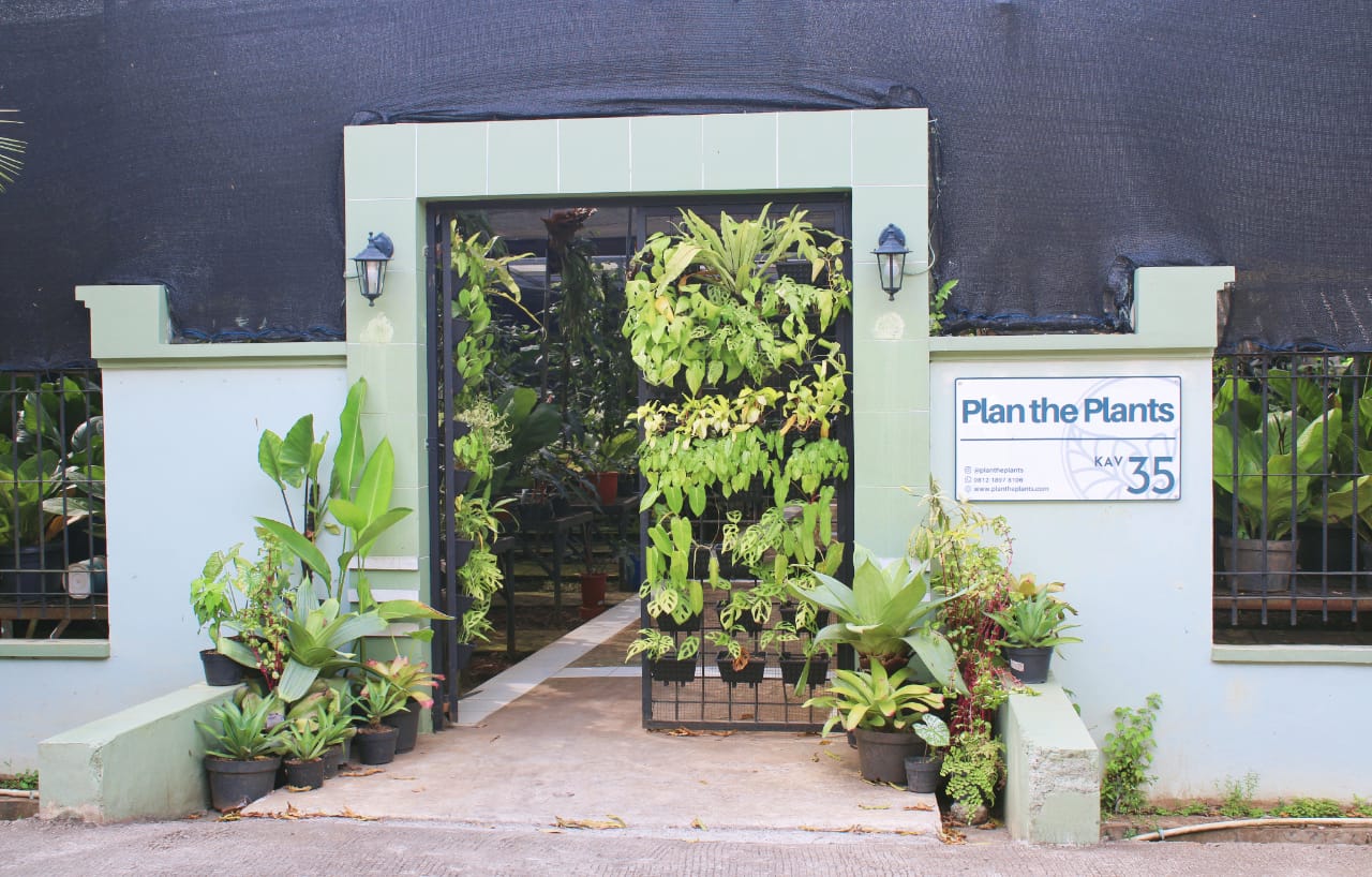 Koleksi tanaman hias Plan the Plants yang berlokasi di kawasan Jakarta Selatan.