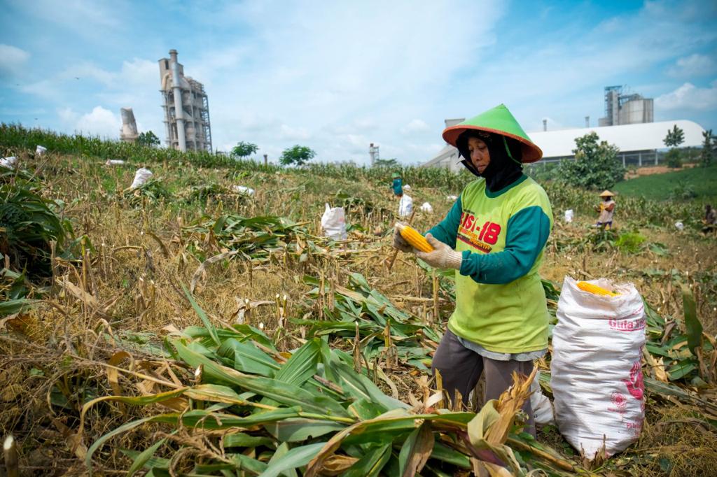 PT SEMEN Gresik (PTSG) melaksanakan program pemberdayaan masyarakat Semen Gresik Sahabat Petani (SGSP) di enam desa sekitar pabrik.