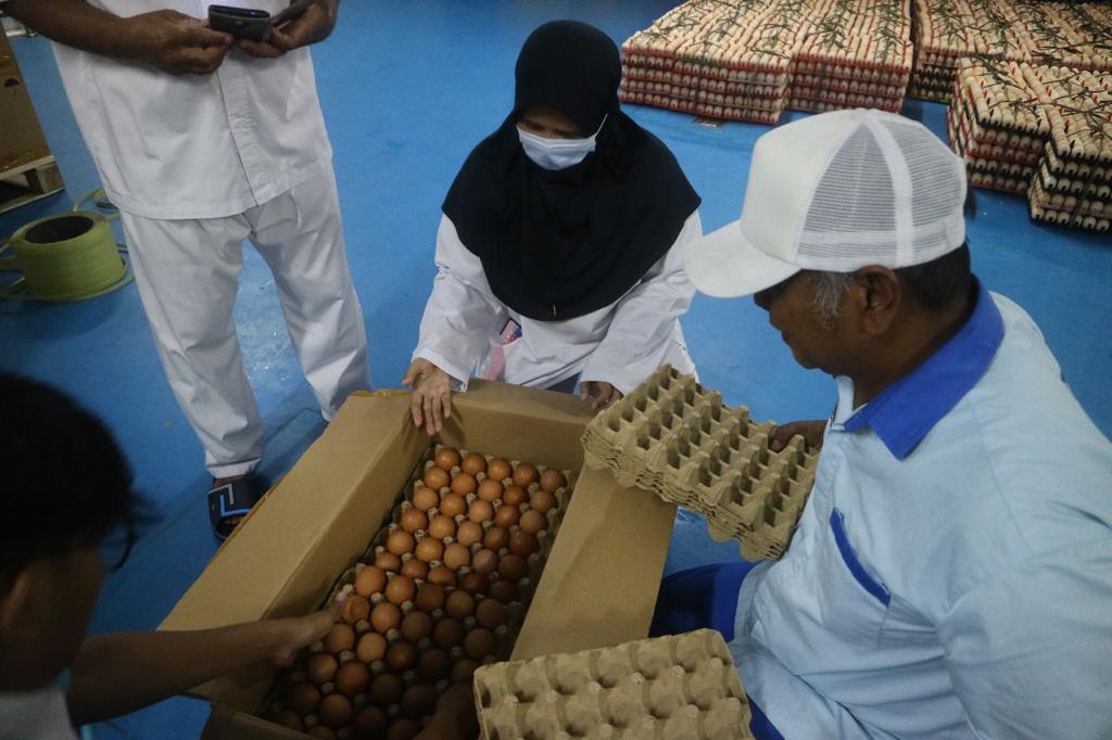 Pelepasan pengiriman telur tetas final stock (HE FS) Layer Strain ISA Brown ke Myanmar sebanyak 30.000 butir telur dilakukan Jumat (11/2).