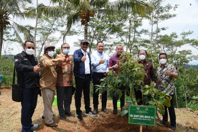 Anggota Komisi IV DPR Sulaeman L. Hamzah (kiri) dan anggota DPR RI lainnya meninjau kawasan hutan di Bukit Menoreh, Kulon Progo, DIY.