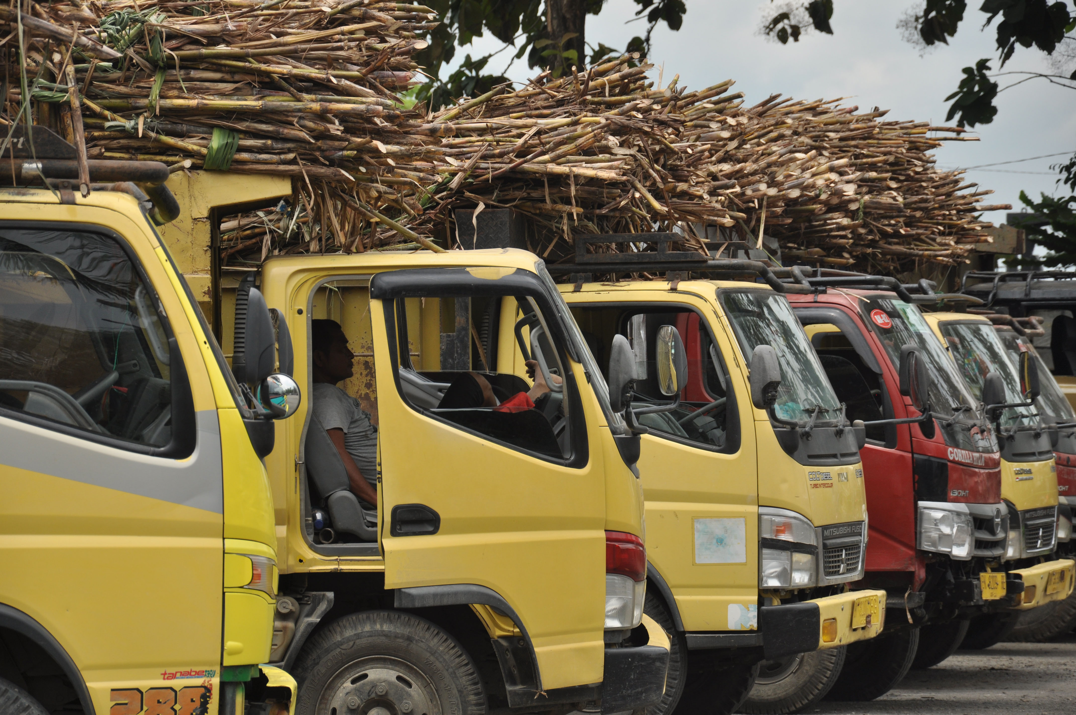 Deretan truk membawa tumpukan tebu untuk digiling di pabrik gula Sei Semayang PTPN II Kabupaten Deli Serdang, Sumatera Utara