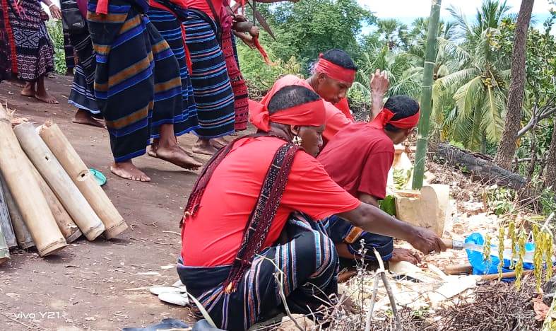 Warga desa di Sikka, NTT menggelar ritual adat mengusir hama tikus