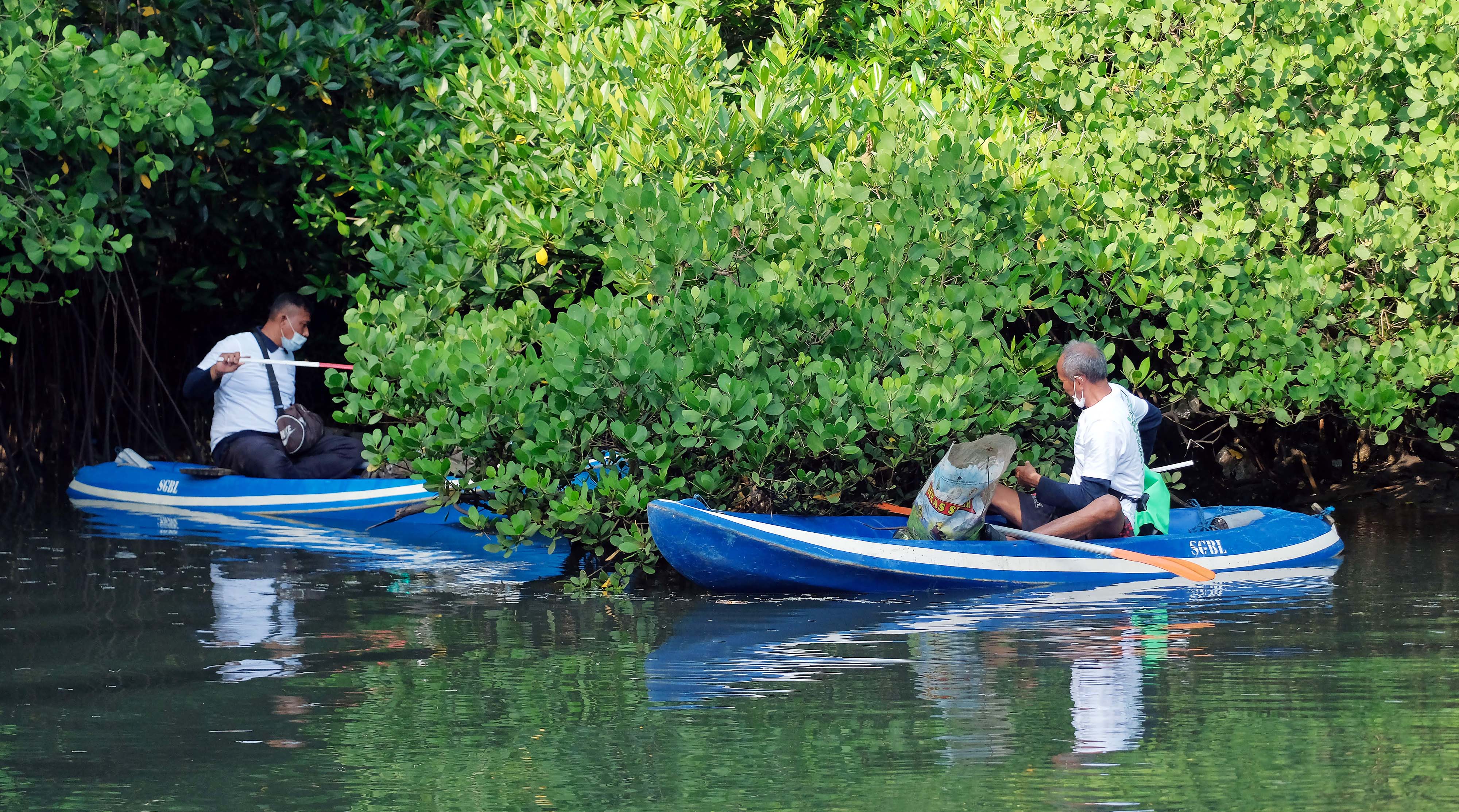 Aksi bersih mangrove di kawasan Mangrove Conservation Forest Bali, Denpasar, Bali, Sabtu (29/1/2022). 
