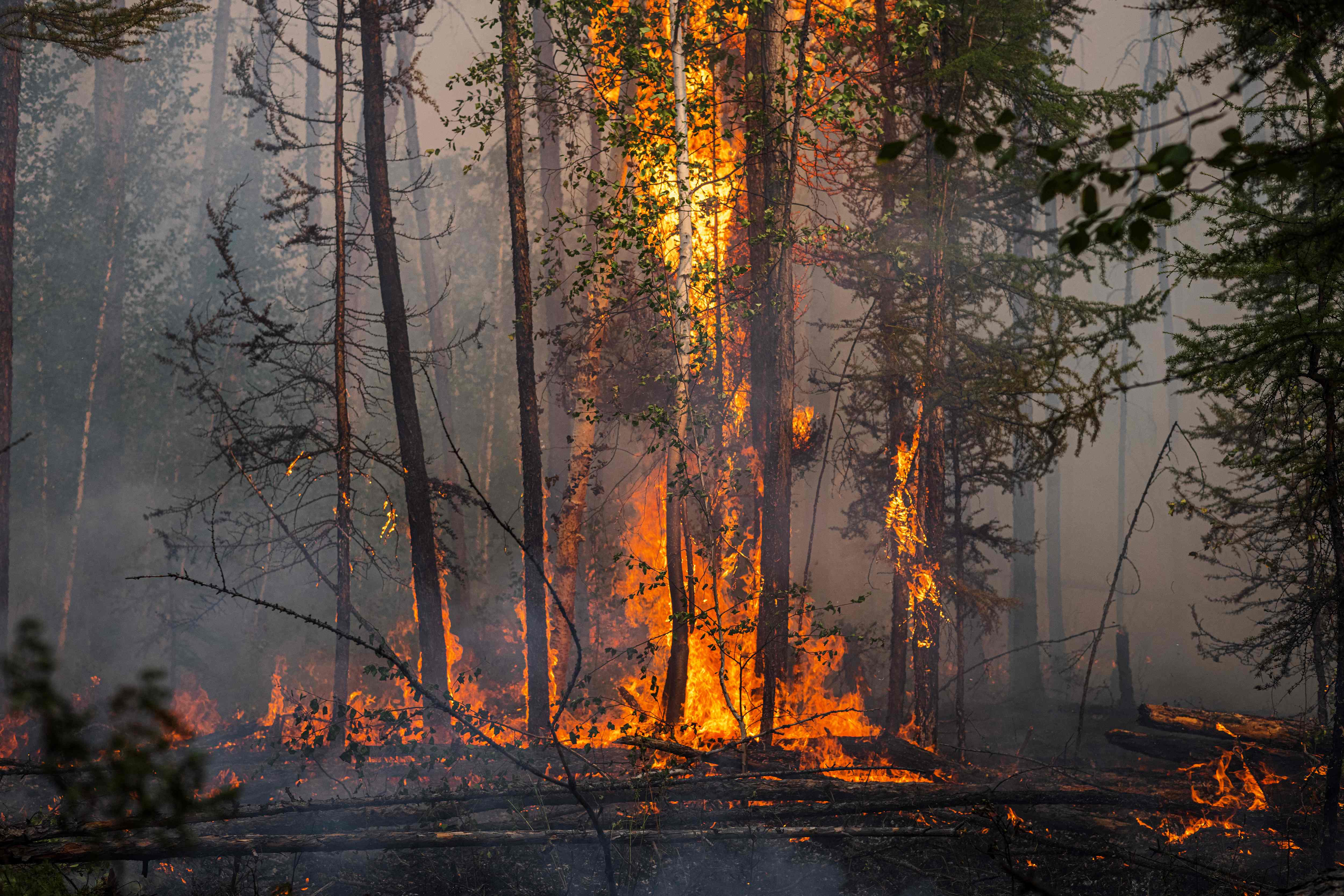 Kebakaran hutan di wilayah hutan Siberia, Juli 2021.