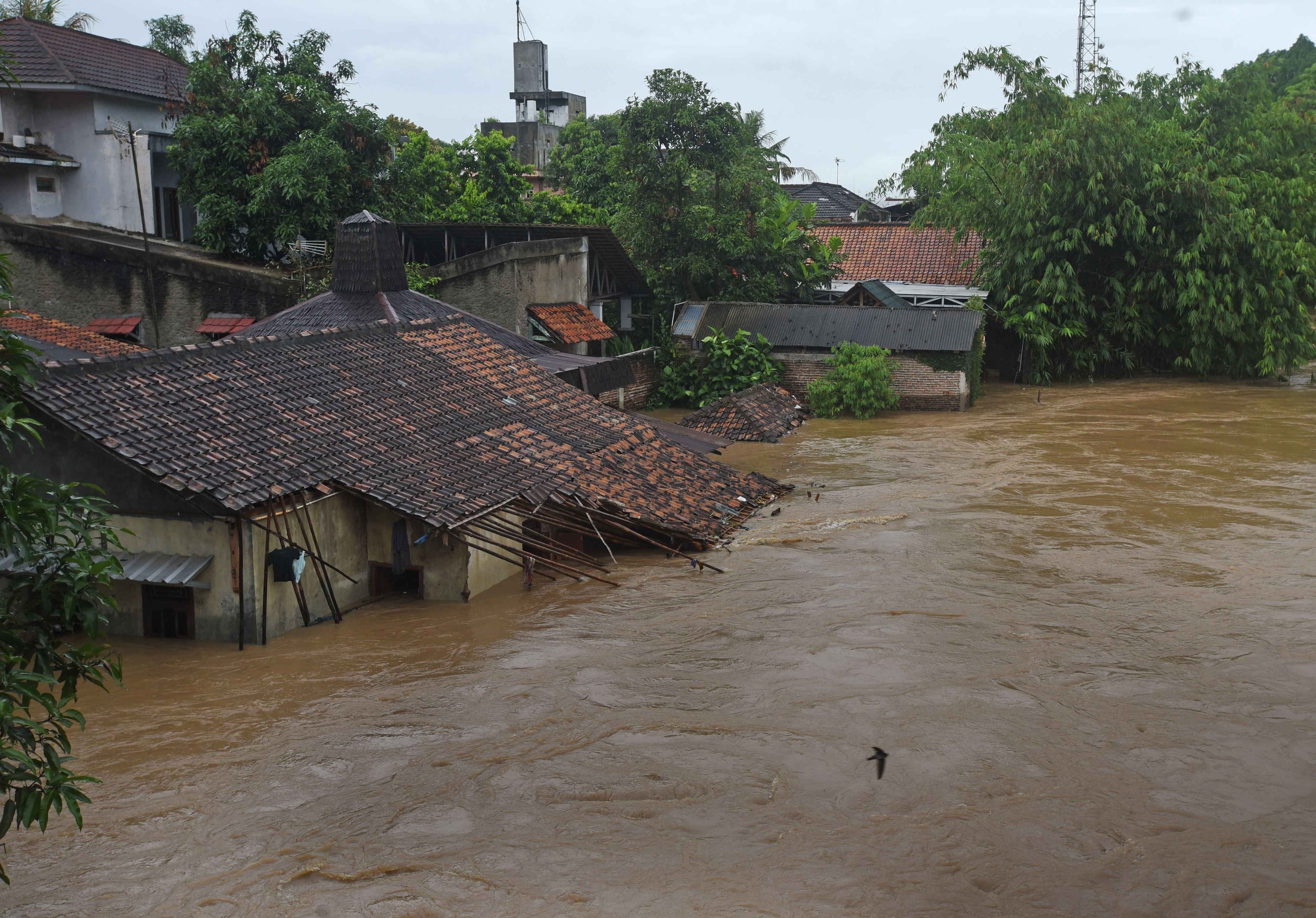 Sejumlah Wilayah Dilanda Banjir, BNPB Minta Pemda Siapkan Langkah Antisipasi 