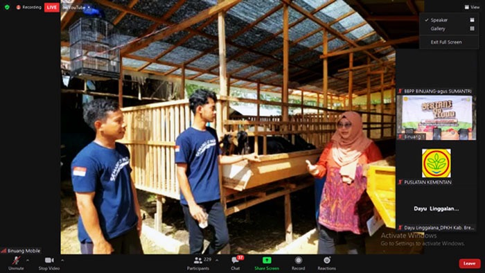 Kementan Ajak Milenial Bisnis Ternak Kambing Kekinian