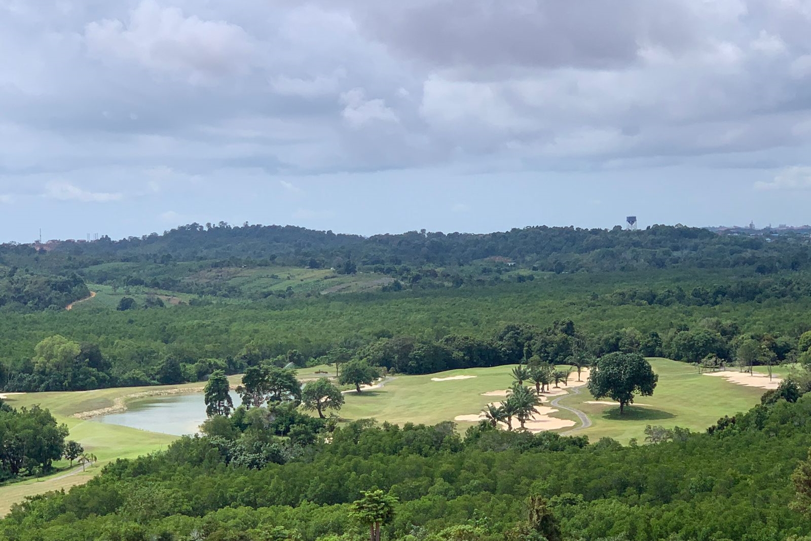 Penampakan hutan bakau di dalam area Nuvasa Bay. 