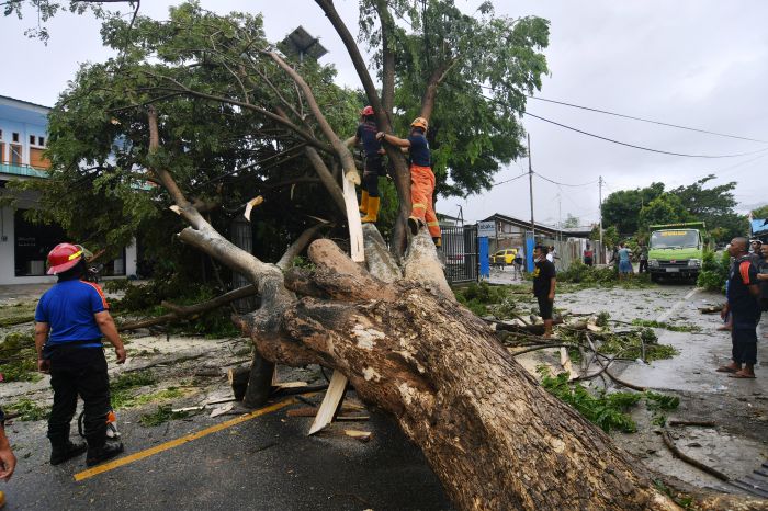 Hujan Angin di Kota Depok akibatkan Puluhan Pohon Tumbang