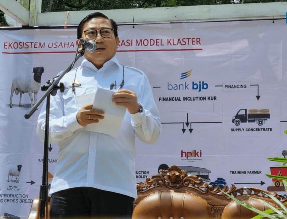 Gandeng HPDKI, Kementan Optimalkan Pengembangan Ternak Kambing