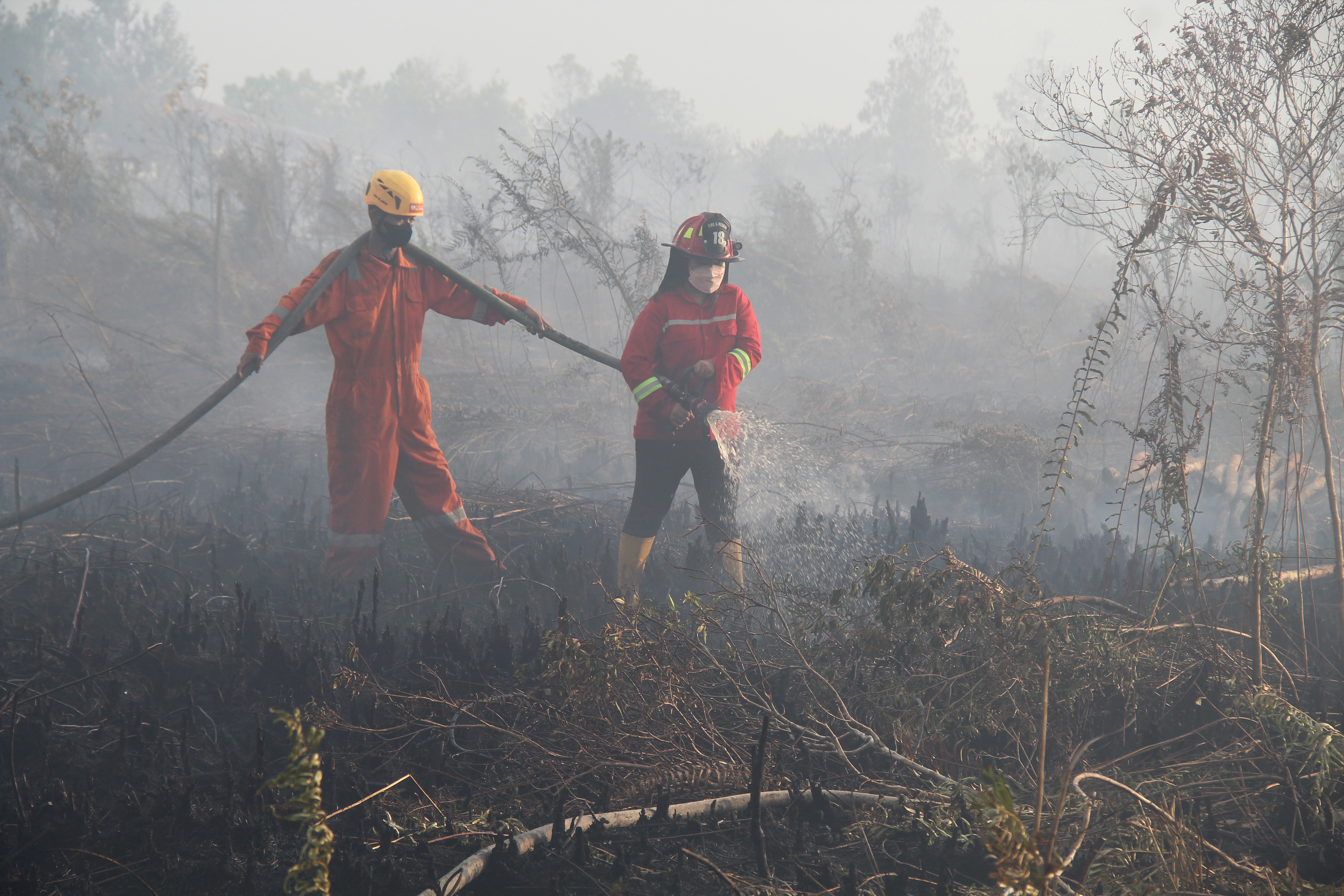 Dua petugas pemadam kebakaran melakukan pembasahan pada lokasi karhutla di Kalimantan Barat.
