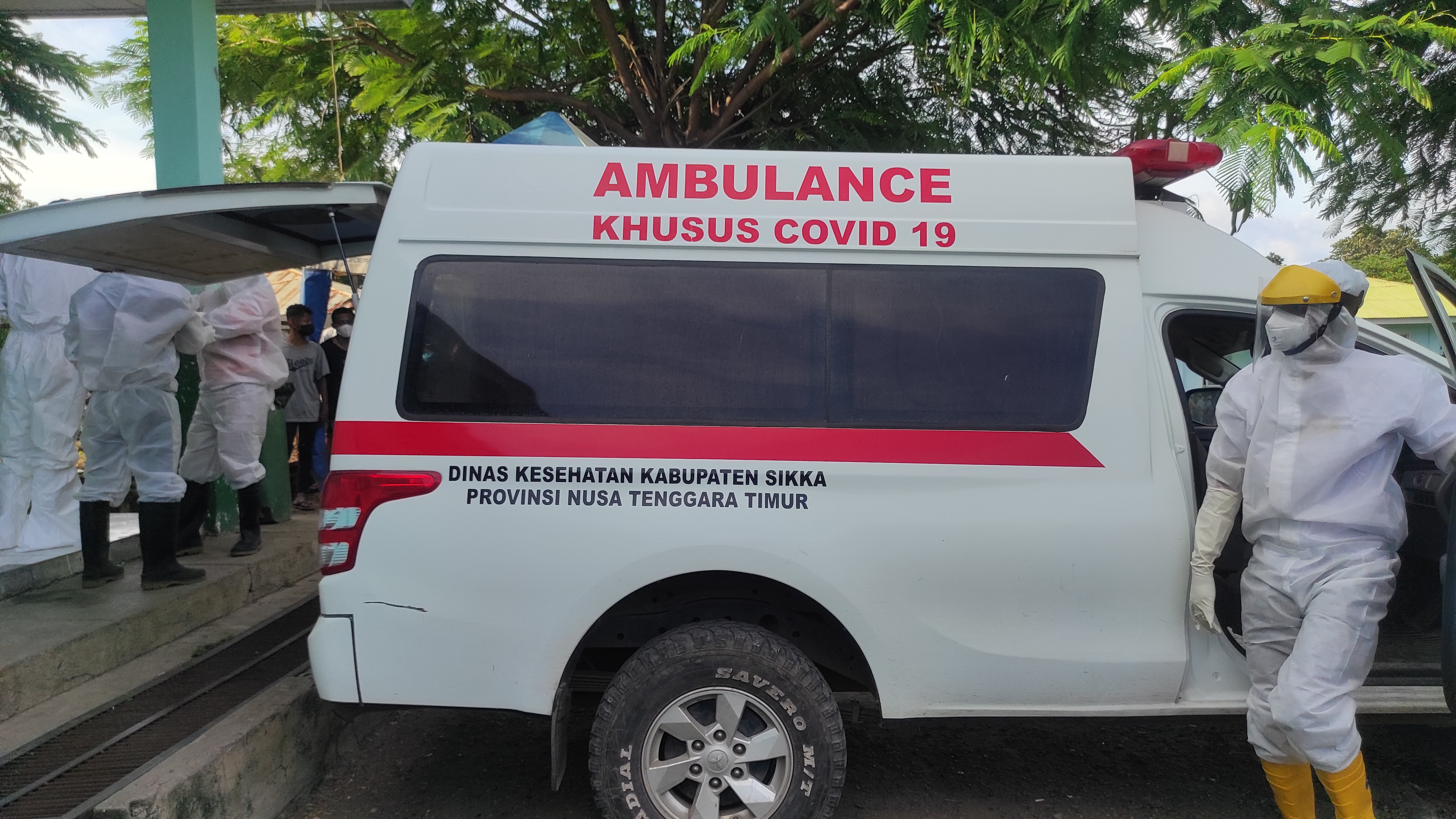 Tiga Bayi di Sikka Terpapar Covid-19, Satu Gejala Berat