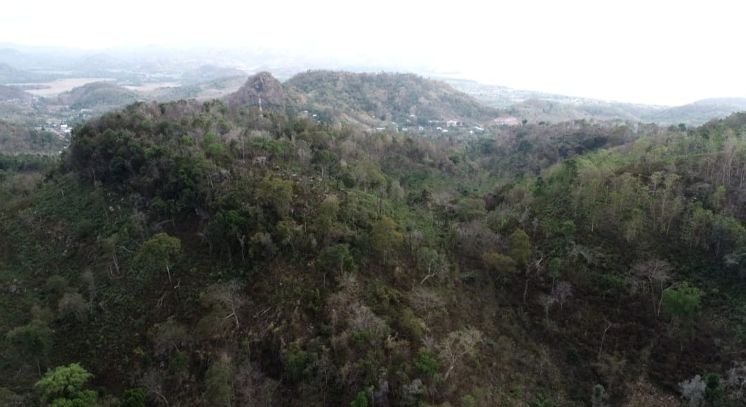 Pengembangan pariwisata di Hutan Bowosie Labuan Bajo, Manggarai Barat, NTT, diperkirakan akan menyerap 10 ribu tenaga kerja.