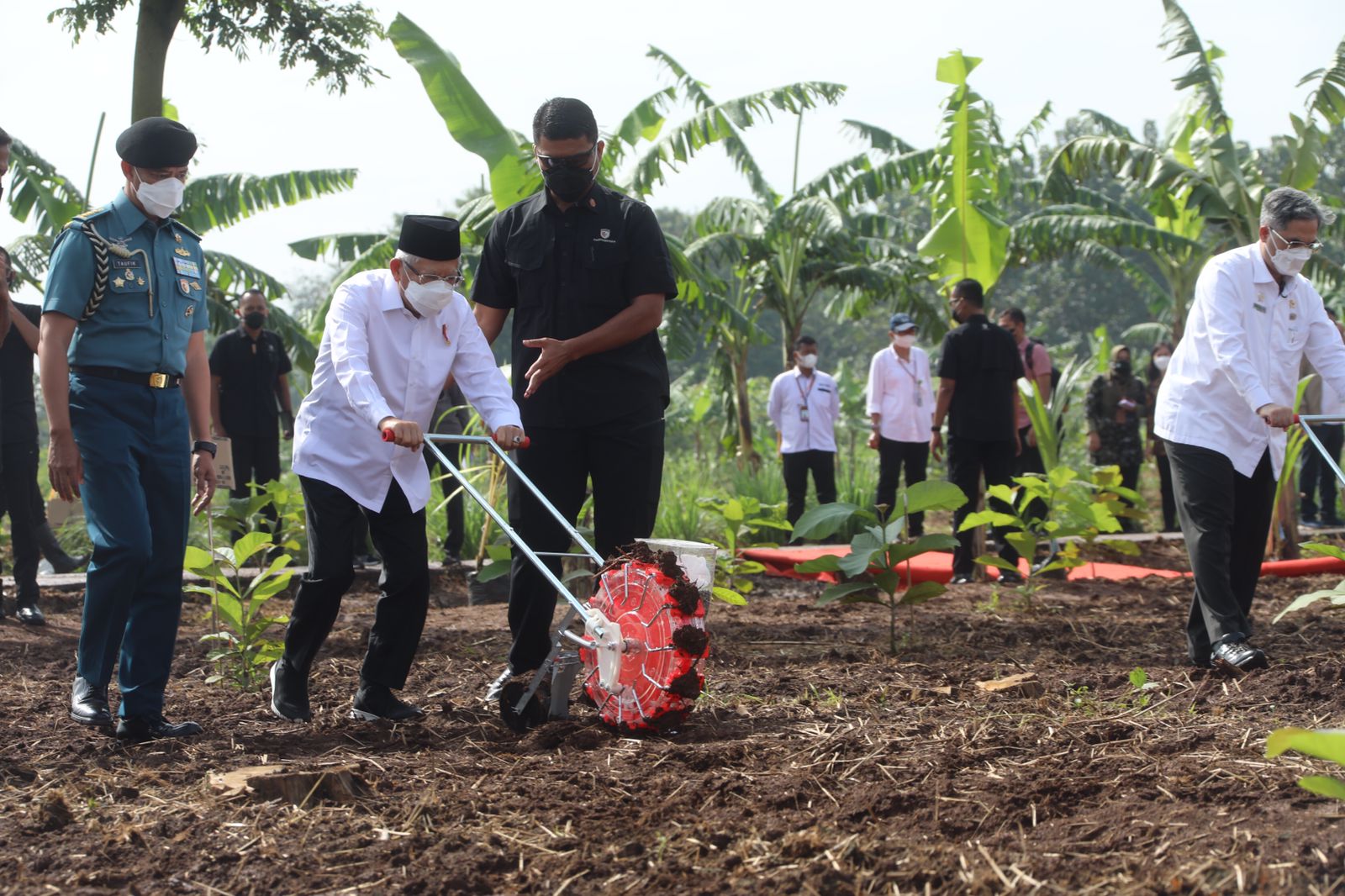 Wapres RI KH.Ma'ruf Amin dan Wamentan Harvick Hasnul Qolbi menanam jagung kedelai di Kabupaten Purwakarta, Jawa Barat, Senin (28/3).