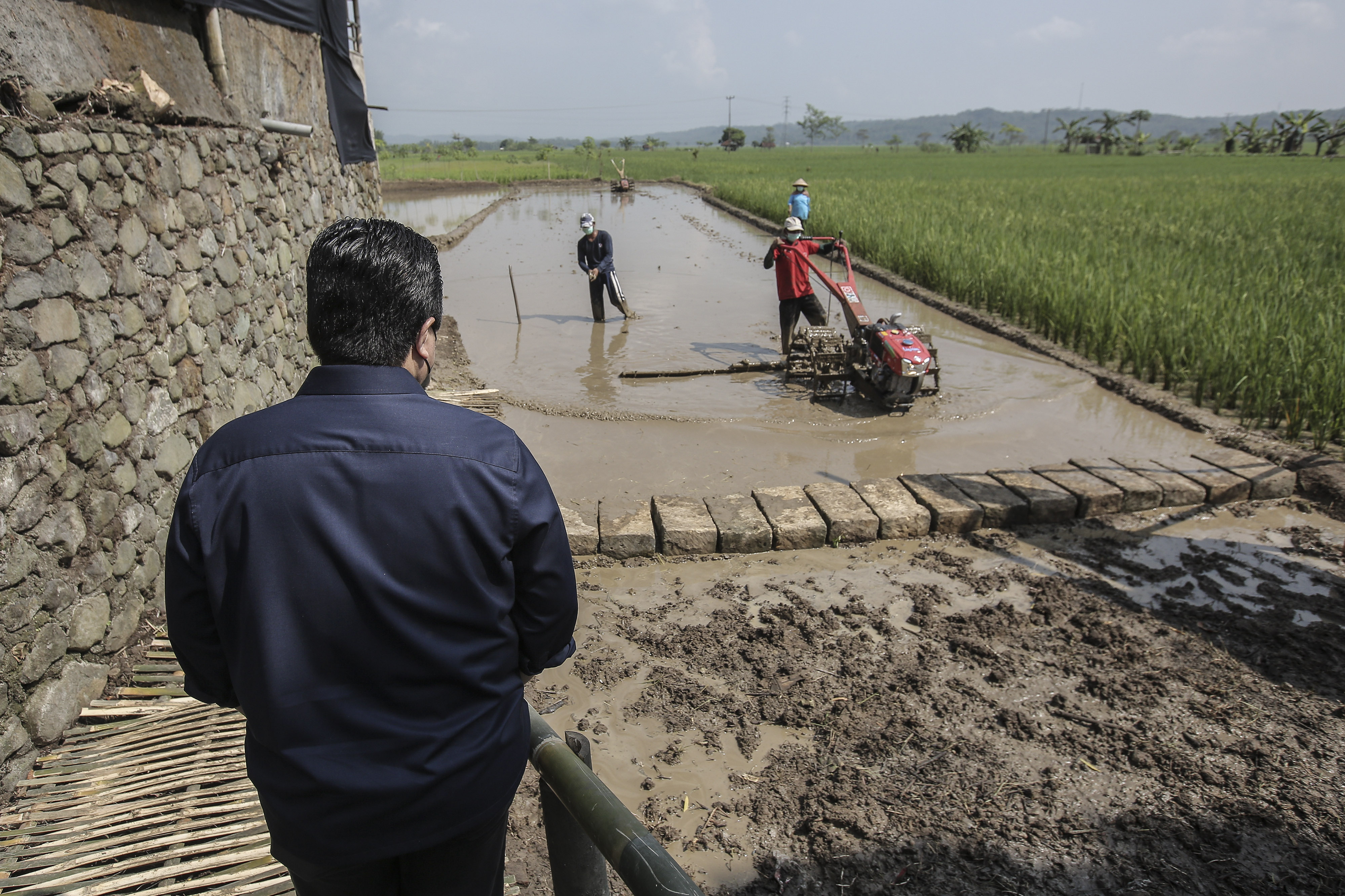 Menteri BUMN Erick Thohir saat meninjau lahan pertanian