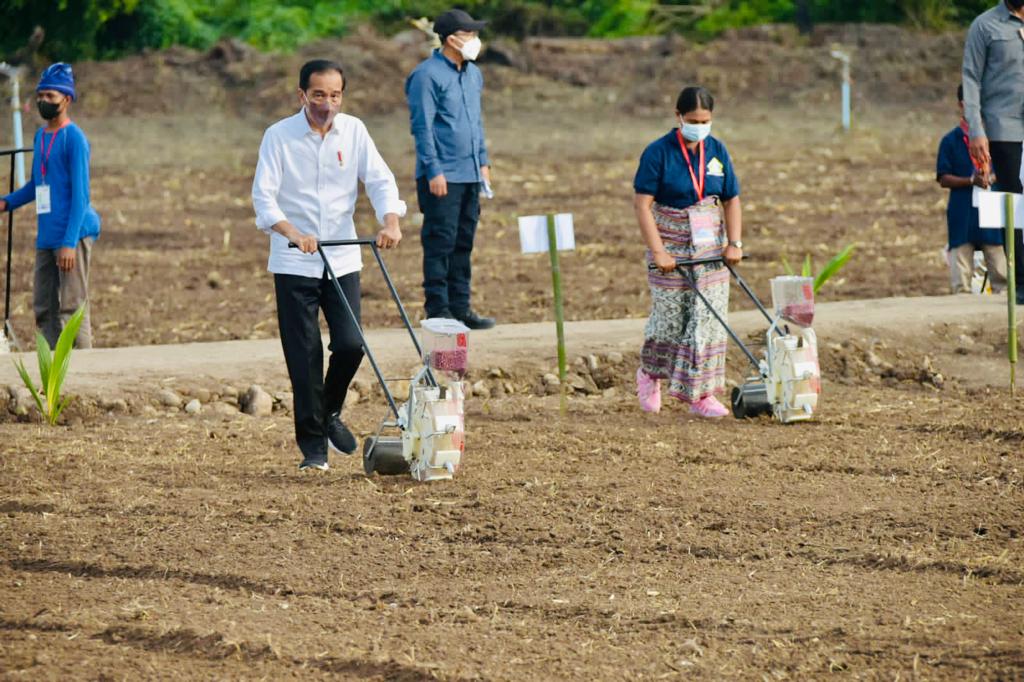 Presiden Joko Widodo mencoba alat pertanian kawasan food estate di Kabupaten Belu, Nusa Tenggara Timur (NTT).