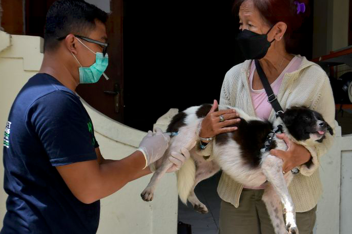 Ilustrasi vaksinasi rabies pada peliharaan