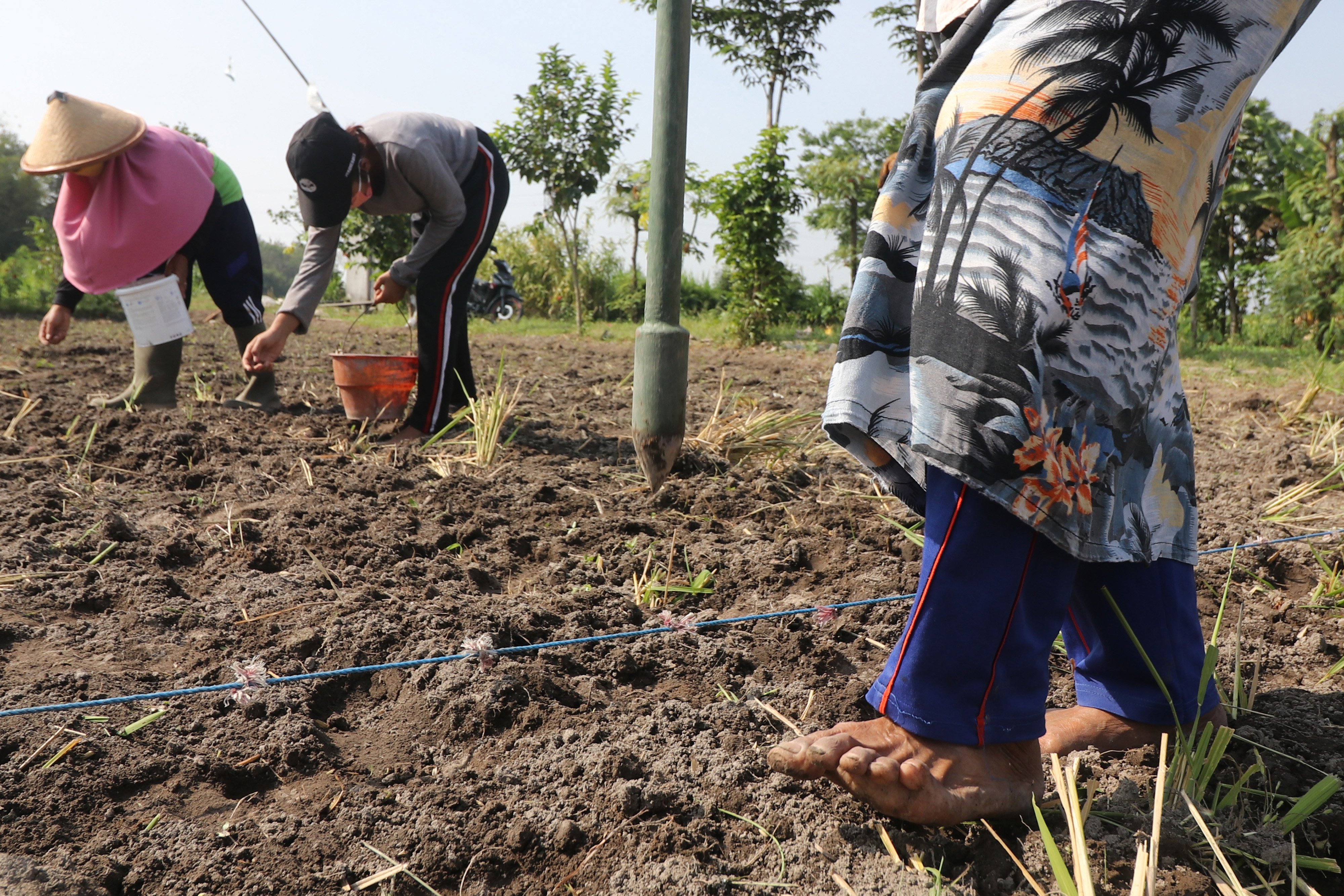 Wakil Ketua HKTI: Perlu Lartas dan HPP Guna Wujudkan Ekosistem Kedelai Nasional