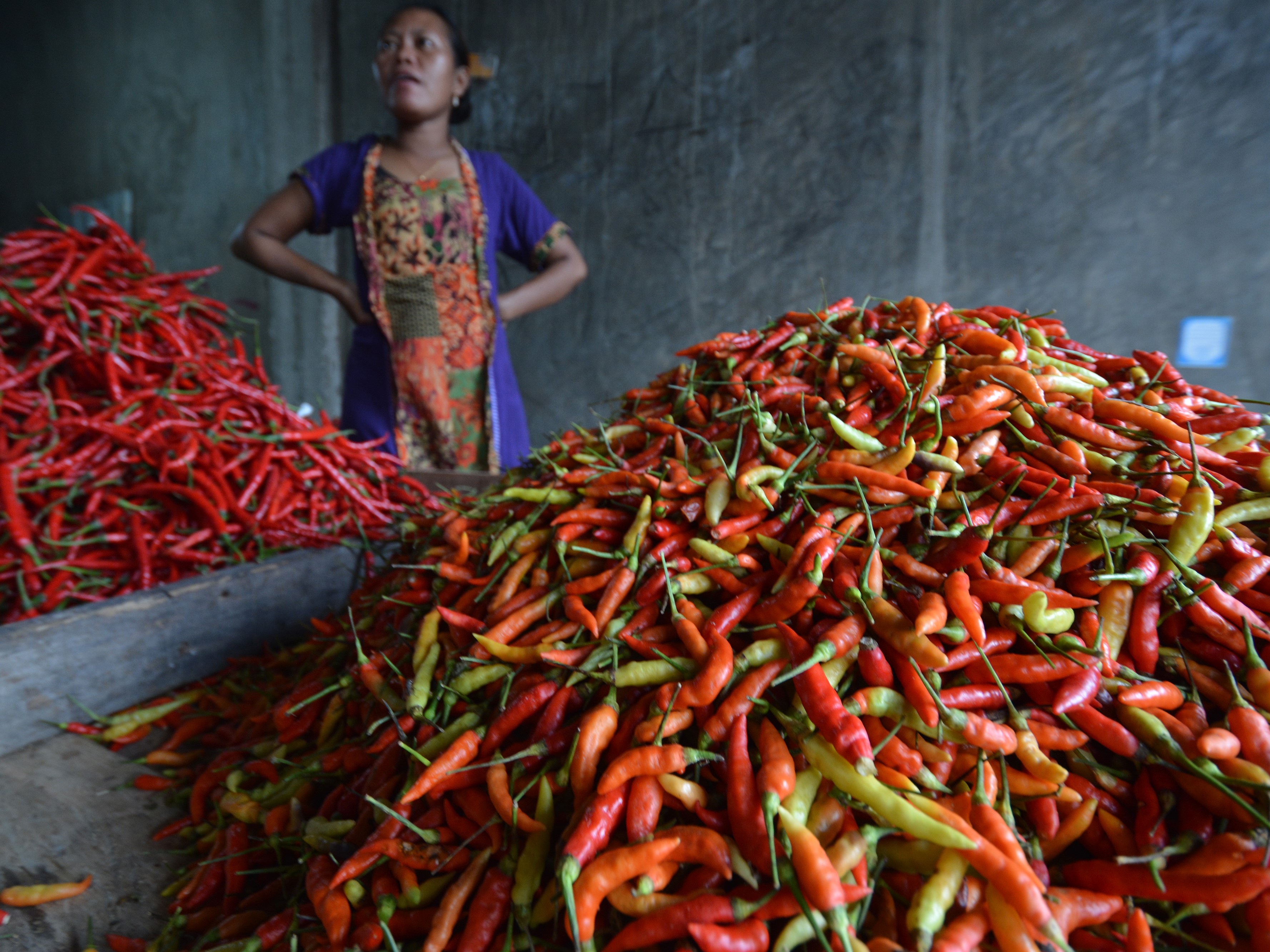 Pedagang menunggui cabai yang dijualnya di Pasar Induk Manonda, Palu, Sulawesi Tengah.