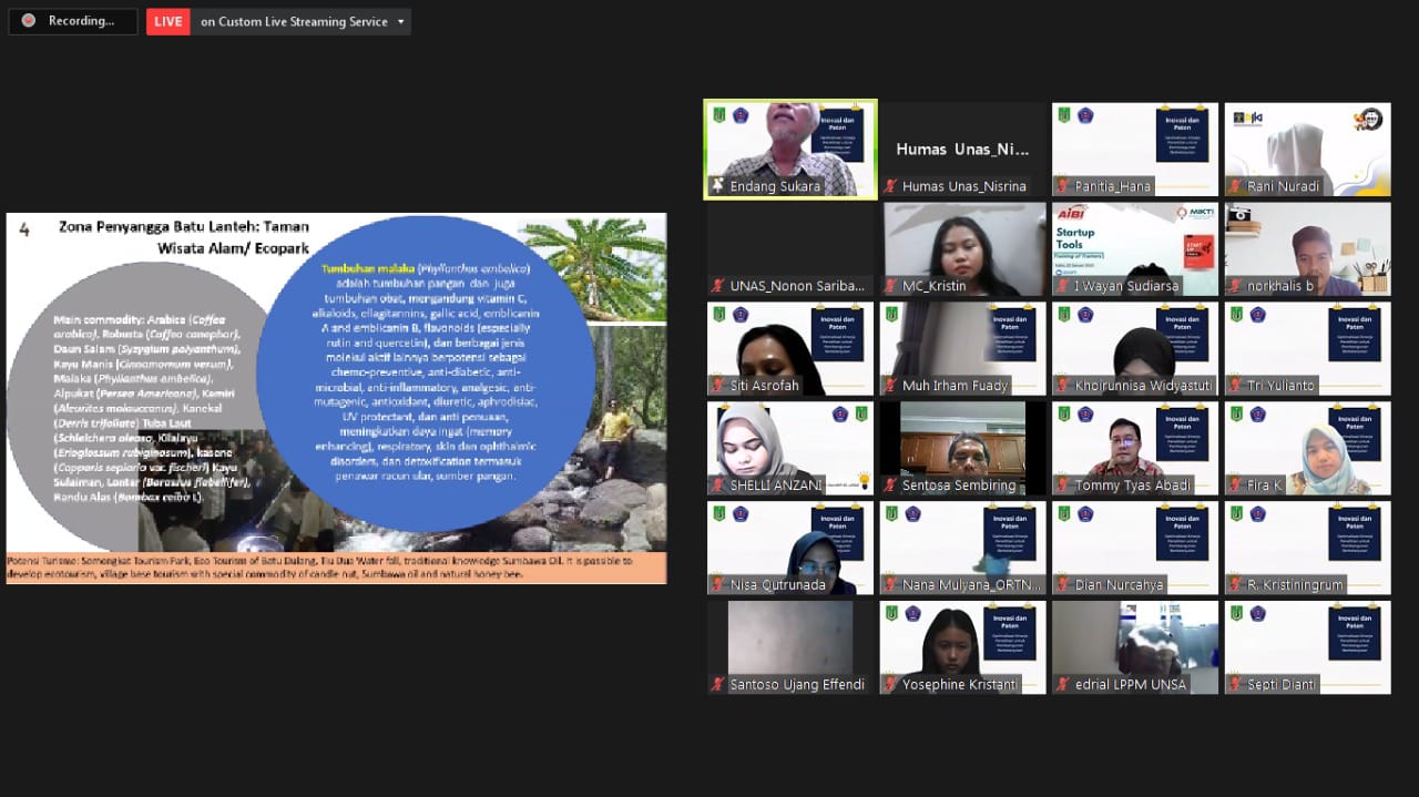 Tangkapan layar peserta webinar