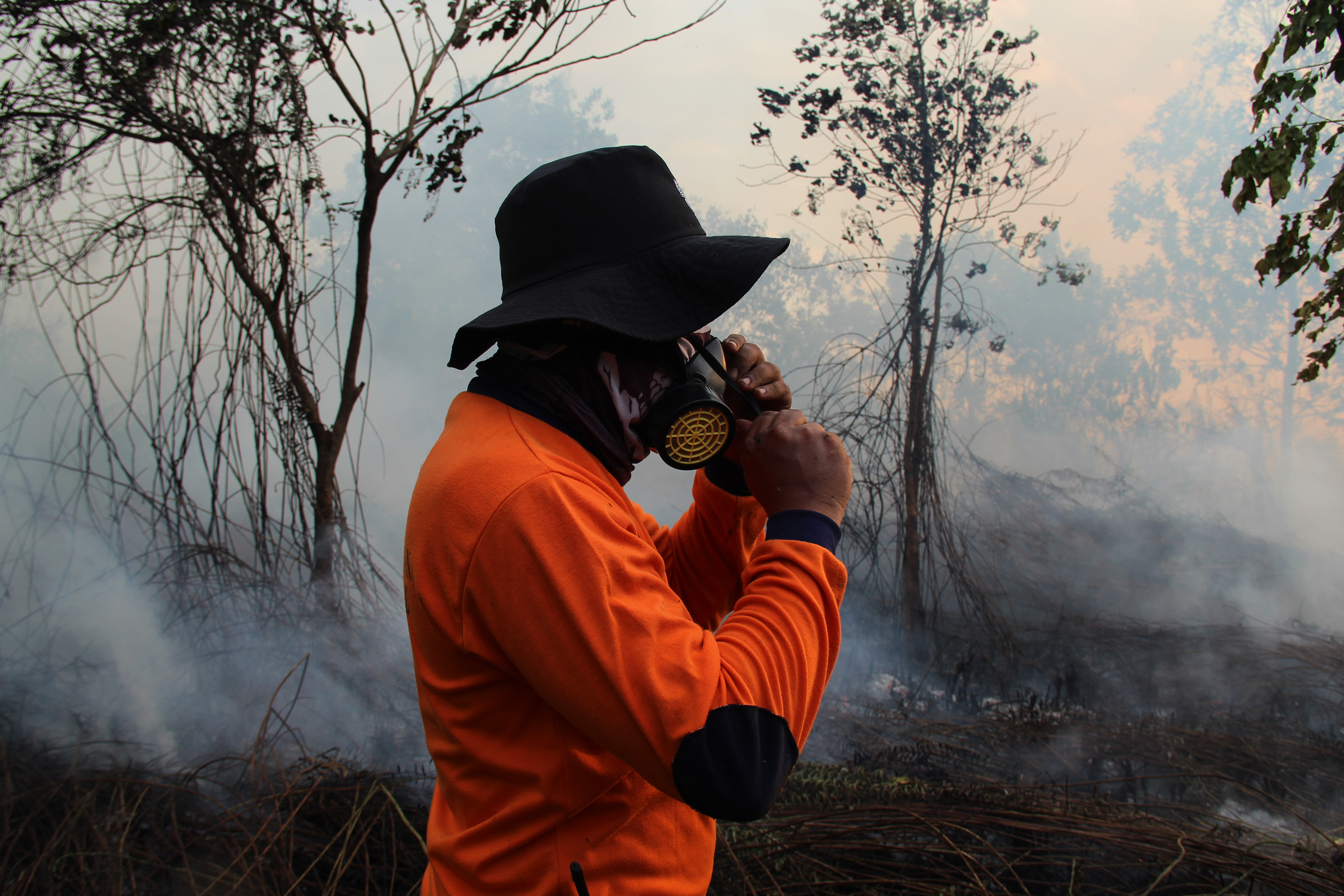 KLHK Mulai Siapkan Langkah Antisipasi Karhutla