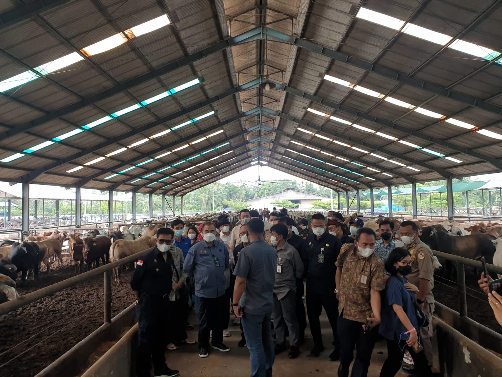 Mentan Syahrul Yasin Limpo melakuan kunjungan ke peternakan PT. Juang Jaya Abdi Alam di Deli Serdang, Sumut, Kamis (3/3). 