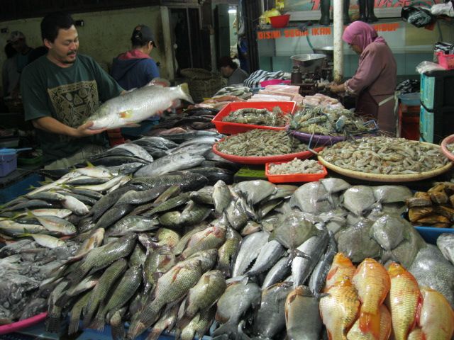 Ilustrasi: hasil laut.