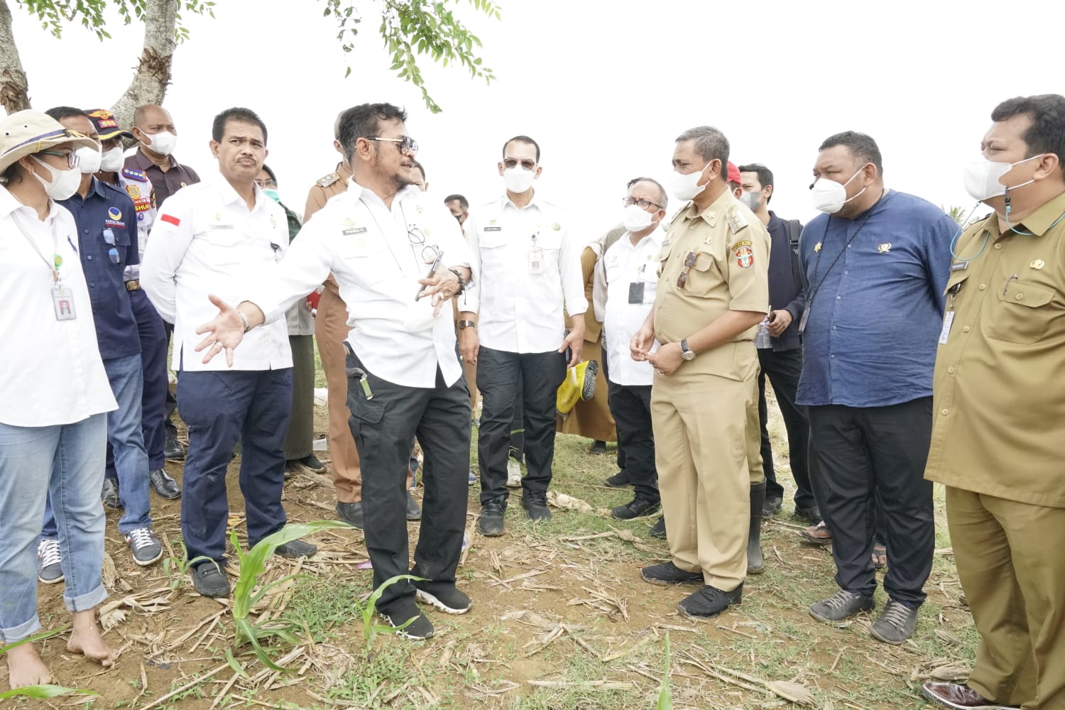 Kementan Gandeng Perguruan Tinggi Gelorakan Kearifan Pangan Lokal