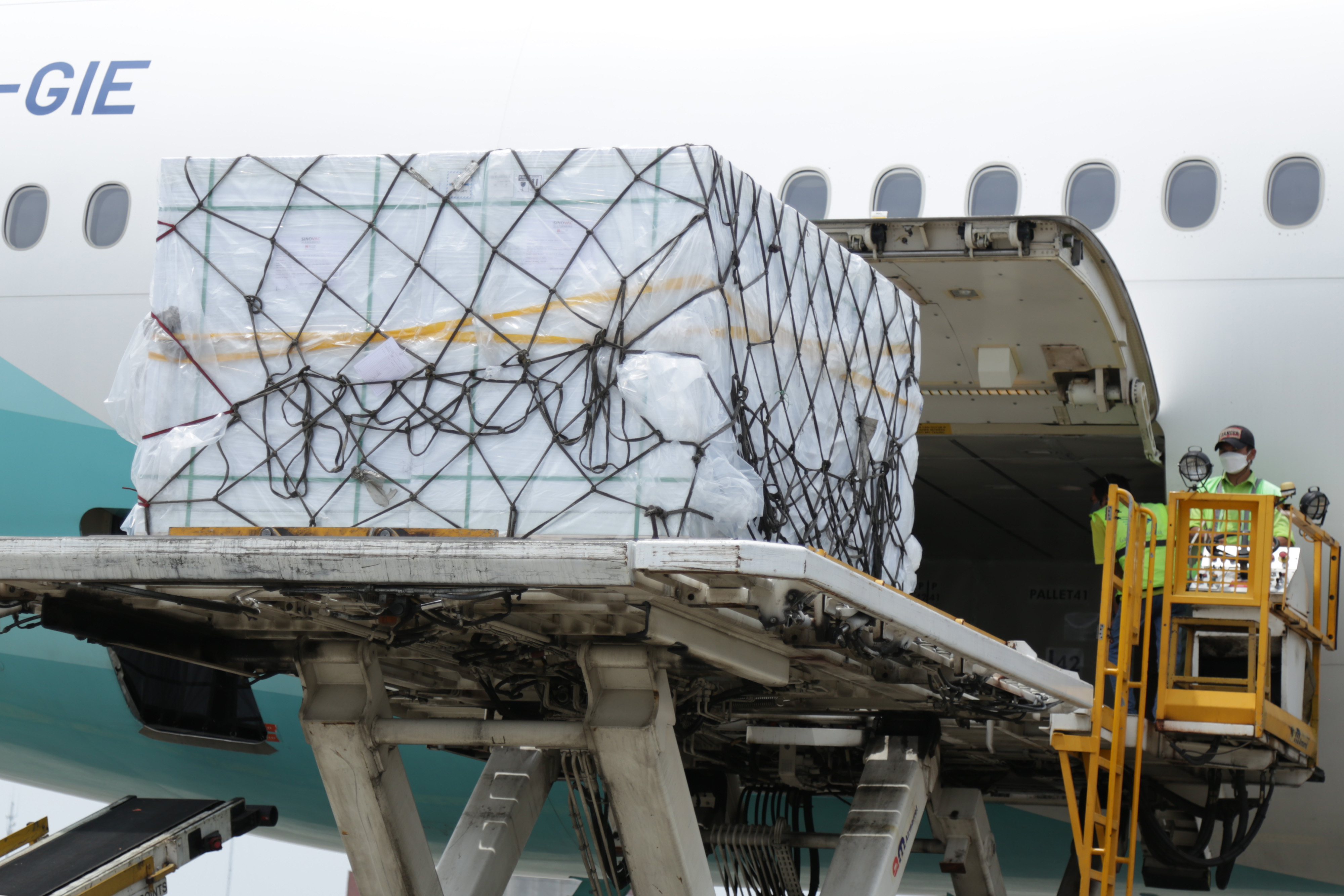 Petugas kargo membongkar muat vaksin COVID-19 dari Sinovac yang tiba di Bandara Internasional Soekarno Hatta, Tangerang.