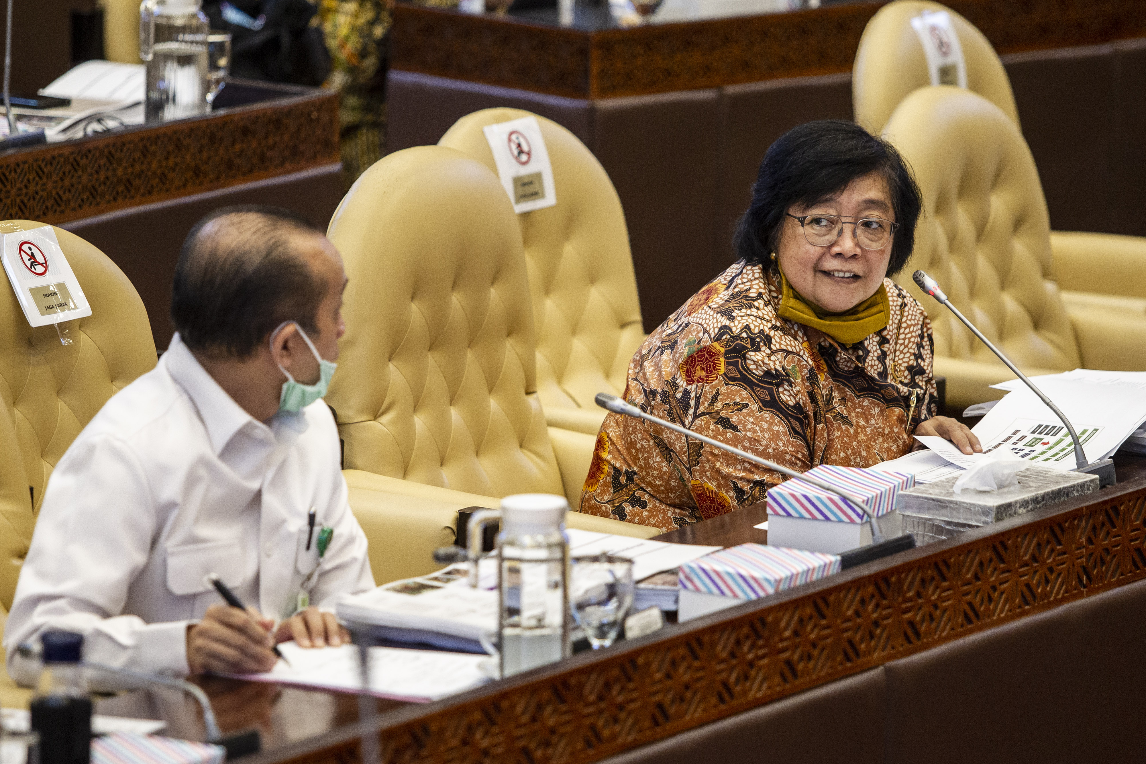 Menteri Lingkungan Hidup dan Kehutanan Siti Nurbaya