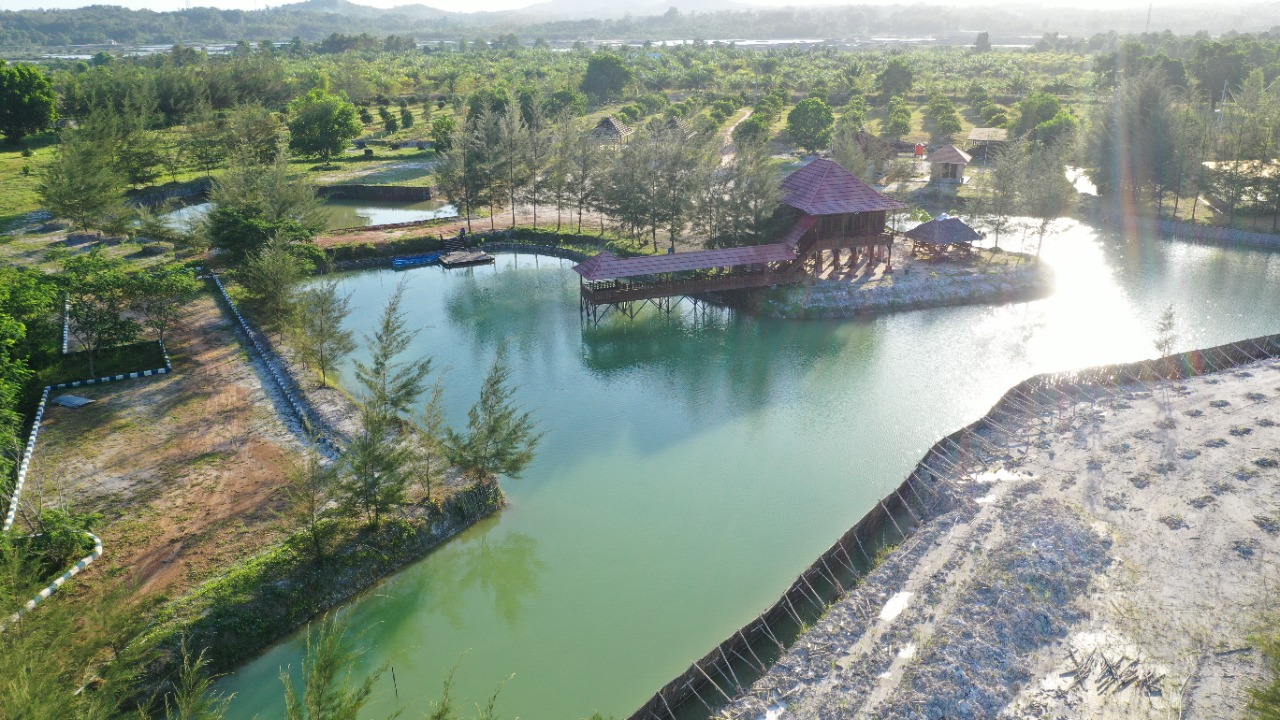 Bekas tambang PT Timah tbk yang akan direklamasi tahun ini seluas 402 ha