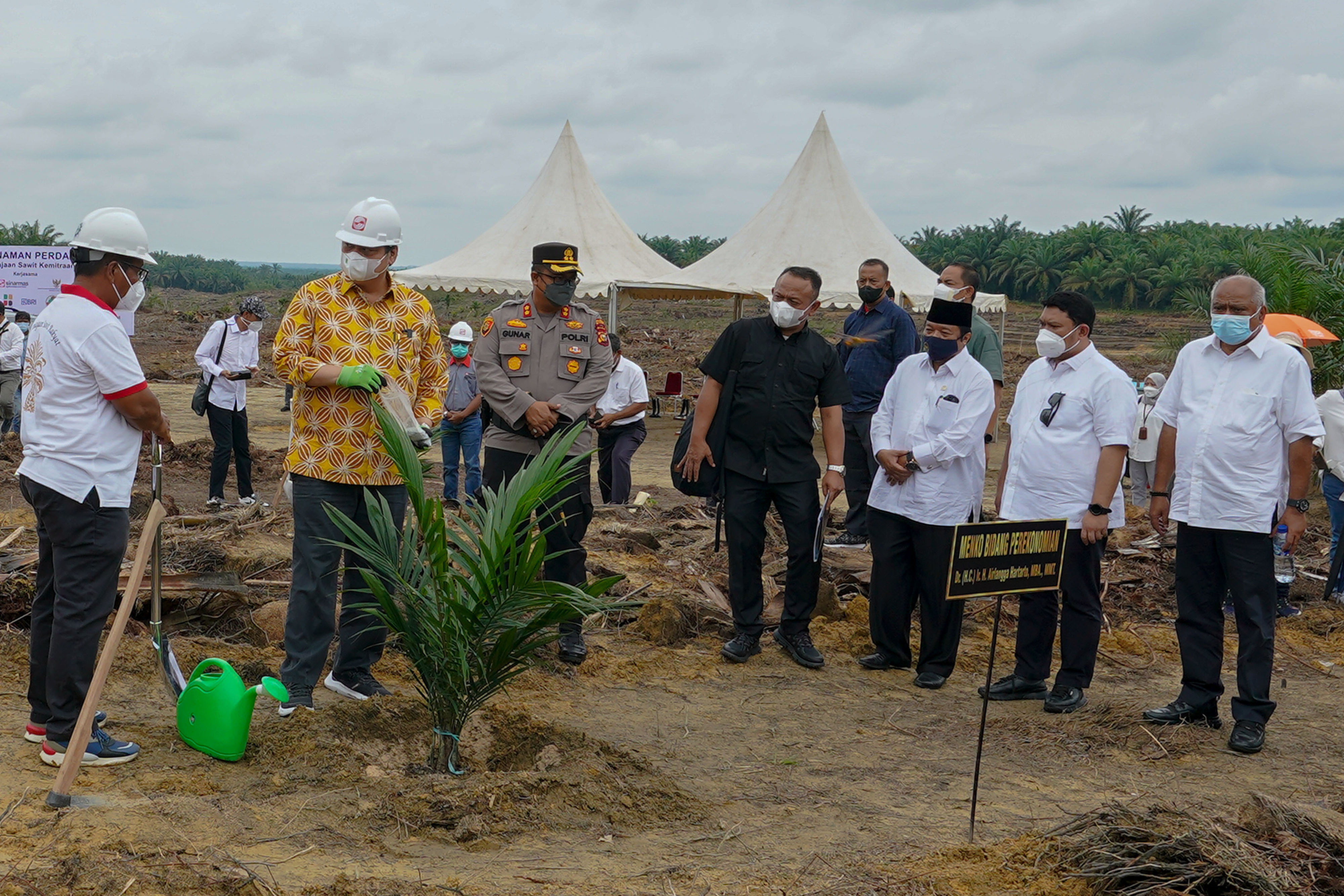 Kelapa Sawit Dorong Pertumbuhan Industri Dalam Negeri