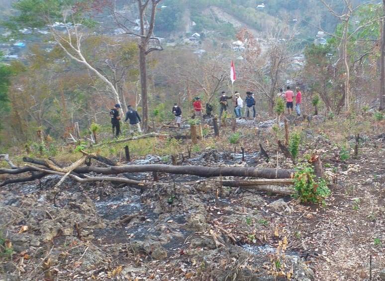 BPOLBF sedang mengembangkan kawasan pariwisata berkelanjutan dan terintegrasi di hutan Bowosie Labuan Bajo, NTT.