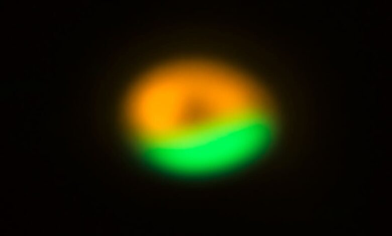 Molekul Utama Pembentuk Kehidupan Muncul di Planet Berjarak 444 Tahun Cahaya dari Bumi