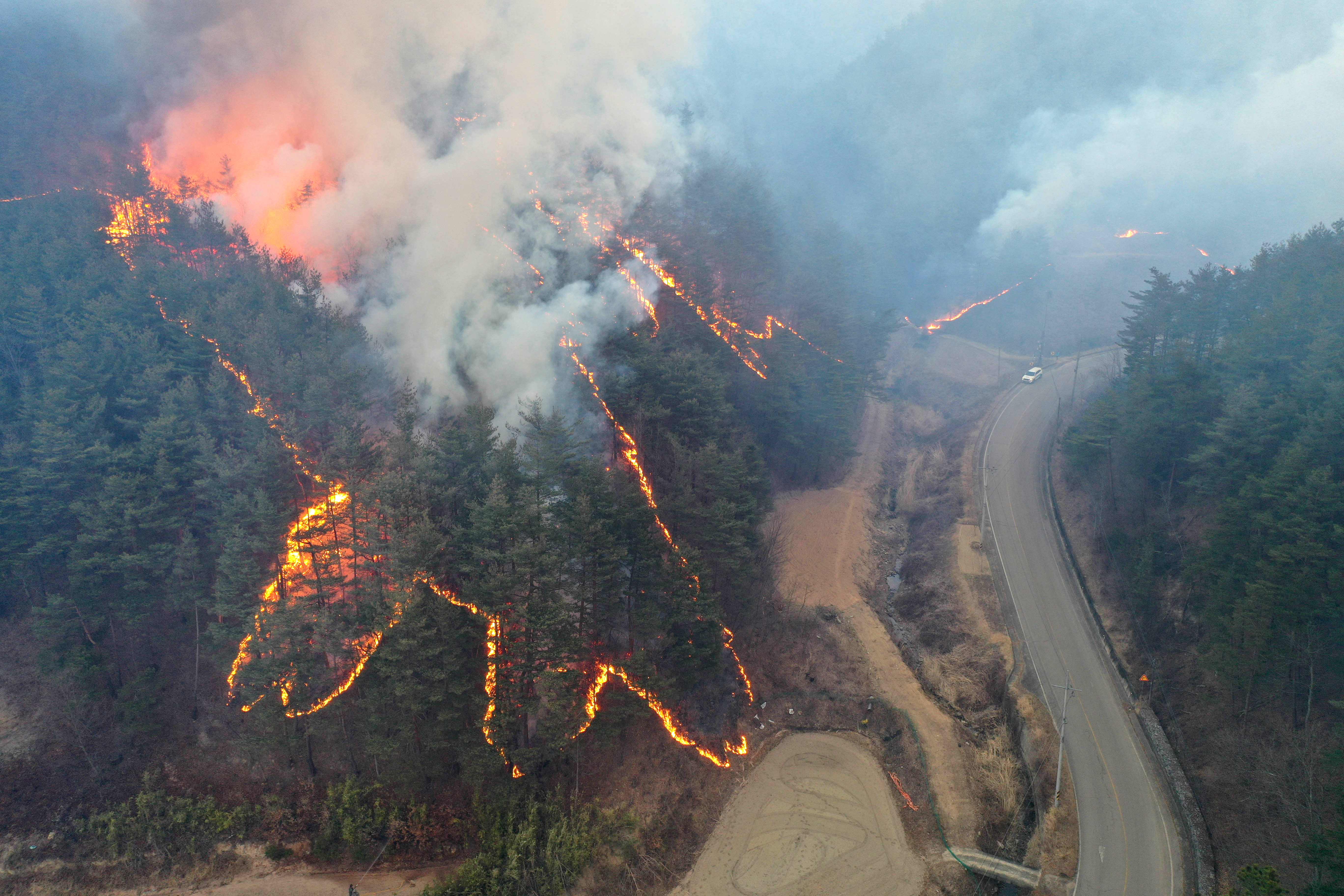 Kebakaran hutan di Kota Uljin, Korsel.