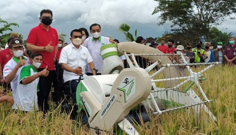 70 Hari Bisa Dipanen, HKTI Bantu Petani Bali Tanam Padi M70 