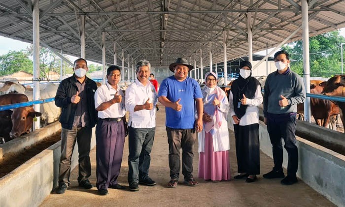 Direktur Polbangtan Malang, Setya Budhi Udrayana (ke-3 kiri) dan Pak Badut (topi) di peternakan sapi di Bangka, Babel.