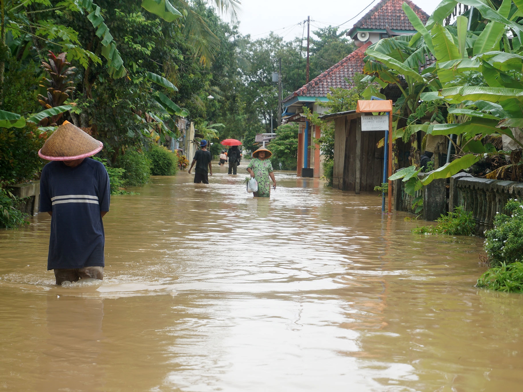 Ribuan Jiwa Terdampak Banjir Banyumas, 800 Pengungsi Bertahan