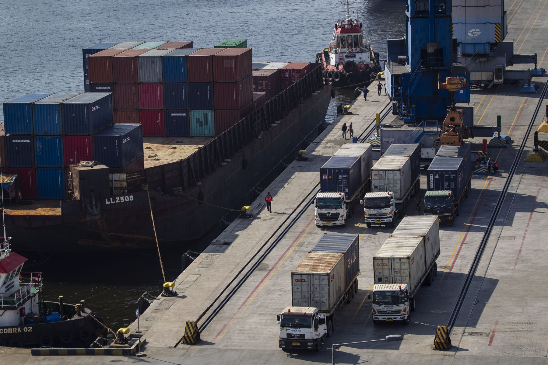 Daging Impor Bulog Tiba di Tanjung Priok