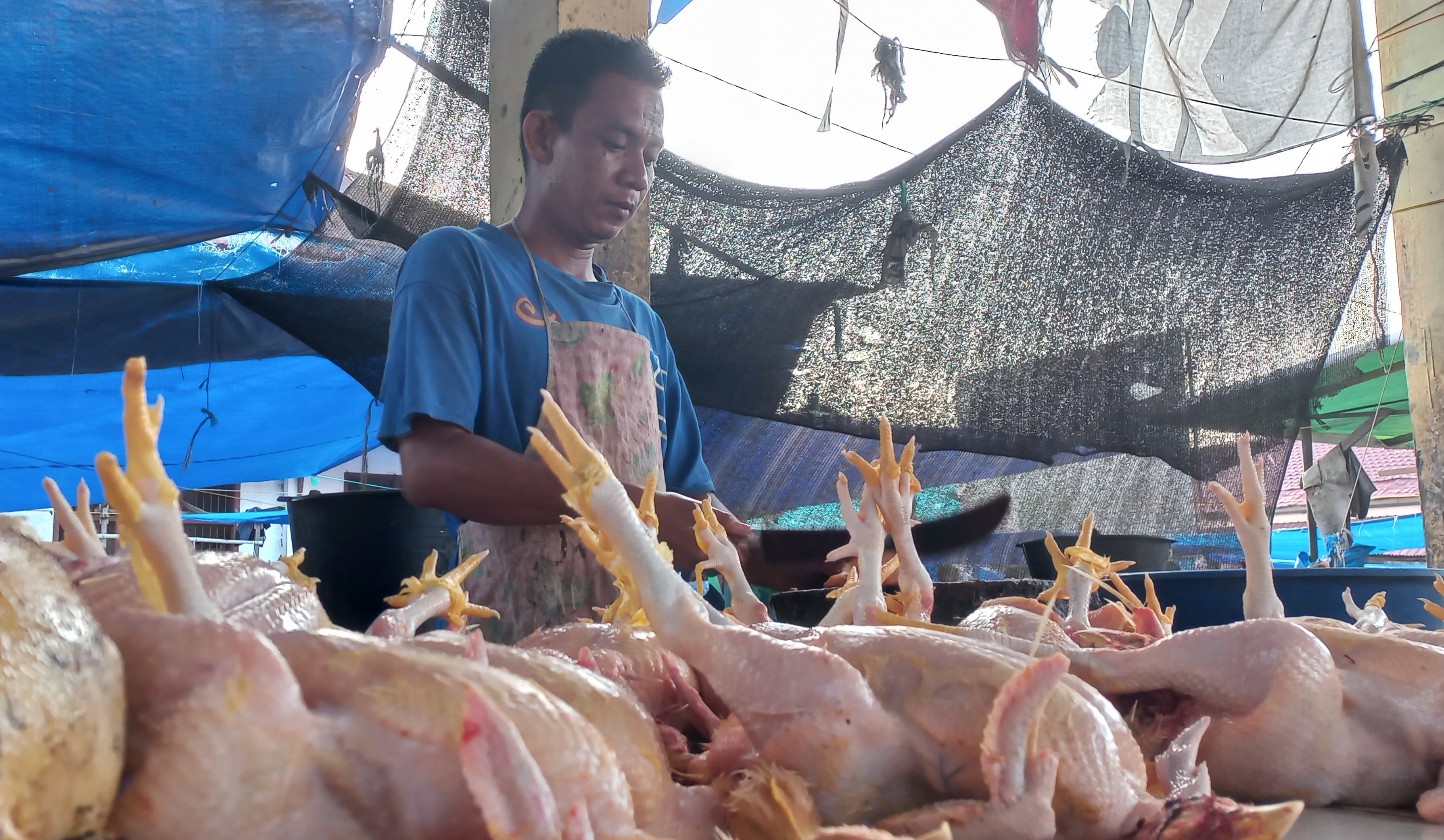 Harga ayam potong salah satu bahan pangan yang ikut naik di Palembang, Sumsel.
