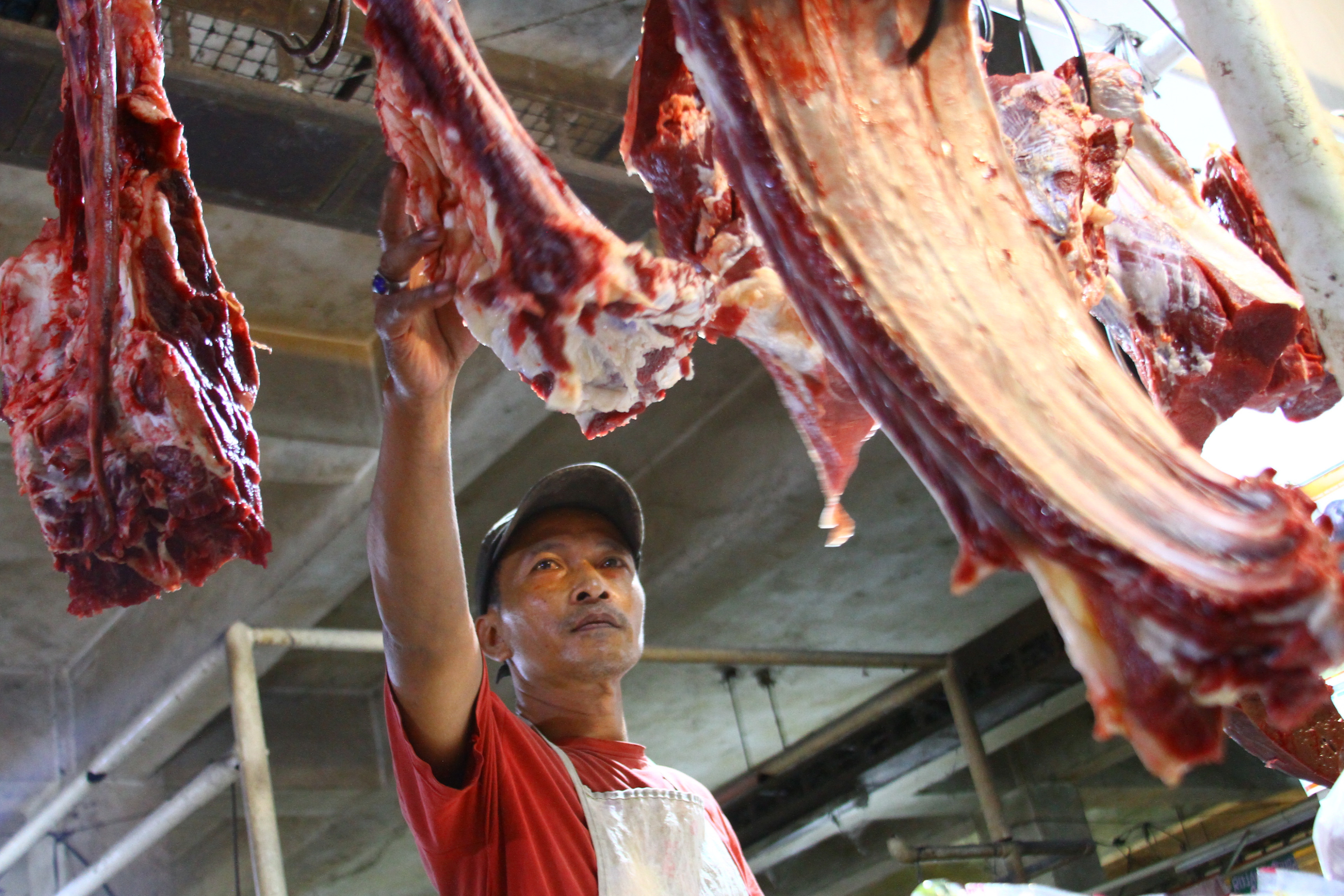 Ilustrasi pedagang daging sapi