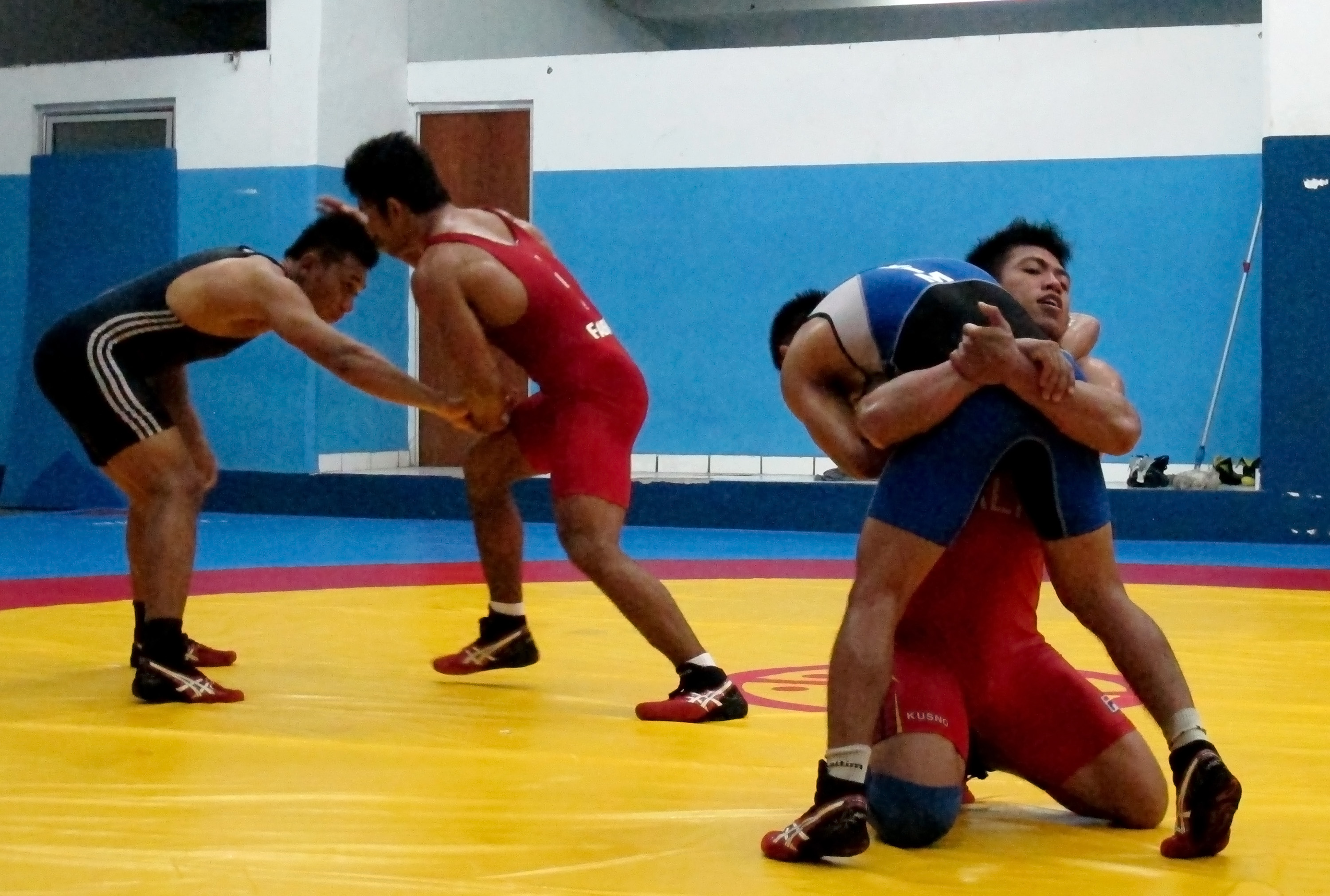 Ilustrasi--Pelatnas gulat menjelang SEA Games 2013