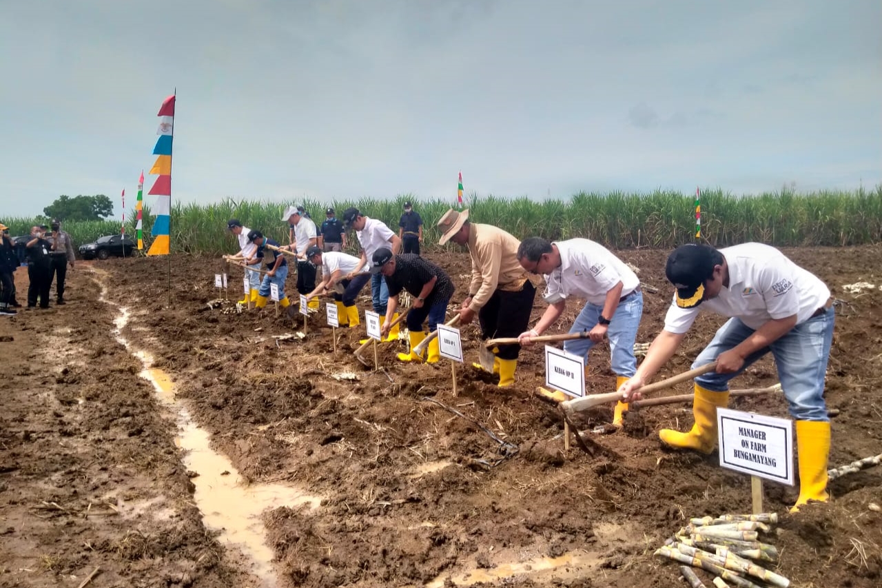 Direktur PTPN Holding Muhammad Abdul Ghani dalam acara Safari Ramadhan PTPN Holding melakukan tanam perdana tebu varietas BM-16/50.