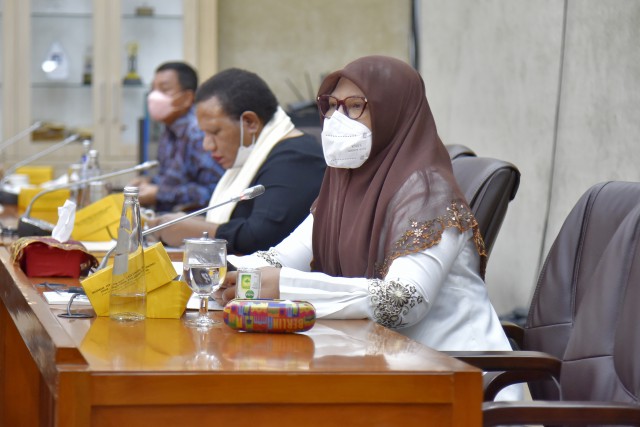 Anggota Komisi VI DPR RI Nevi Zuairina.