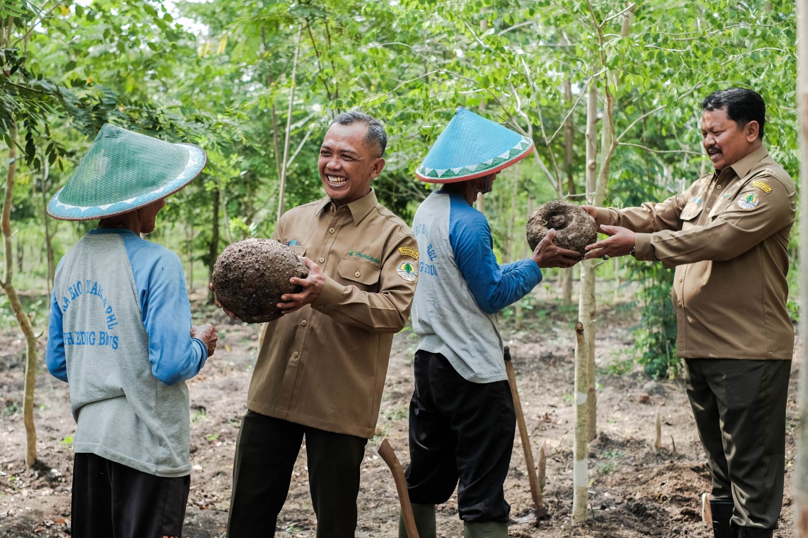 Petugas Perhutani memberi bibit tanaman porang kepad petani.  