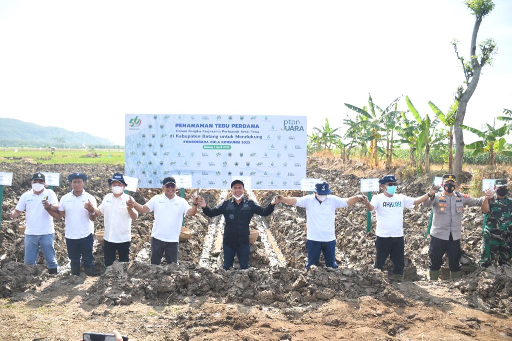 Holding Perkebunan Nusantara menjalin kerja sama dengan Pemerintah Kabupaten Batang melakukan tanam tebu perdana