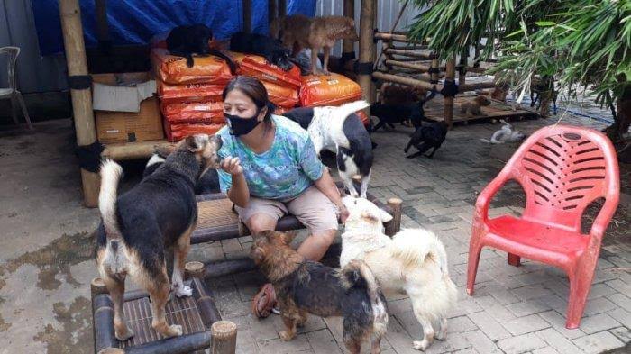 Pejaten Shelter Komitmen Terus Bantu Hewan yang Ditelantarkan 