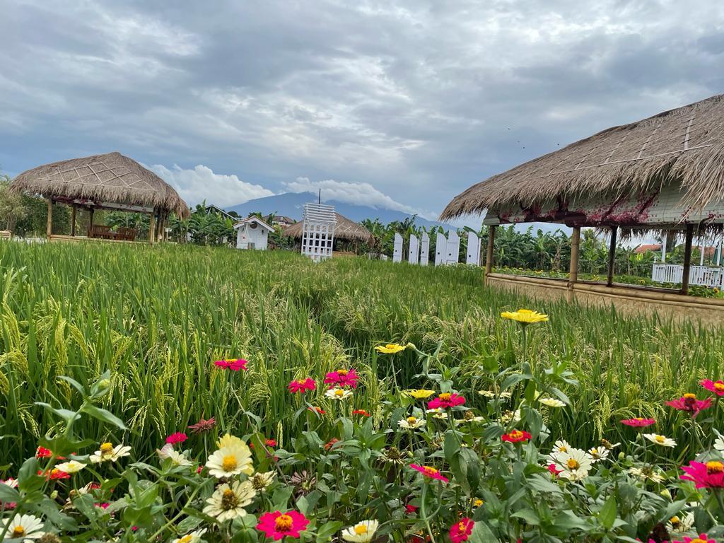 Dukung Pariwisata Jawa Barat, D'Sawah Resto Cafe Rekreasi Launching di Bogor 