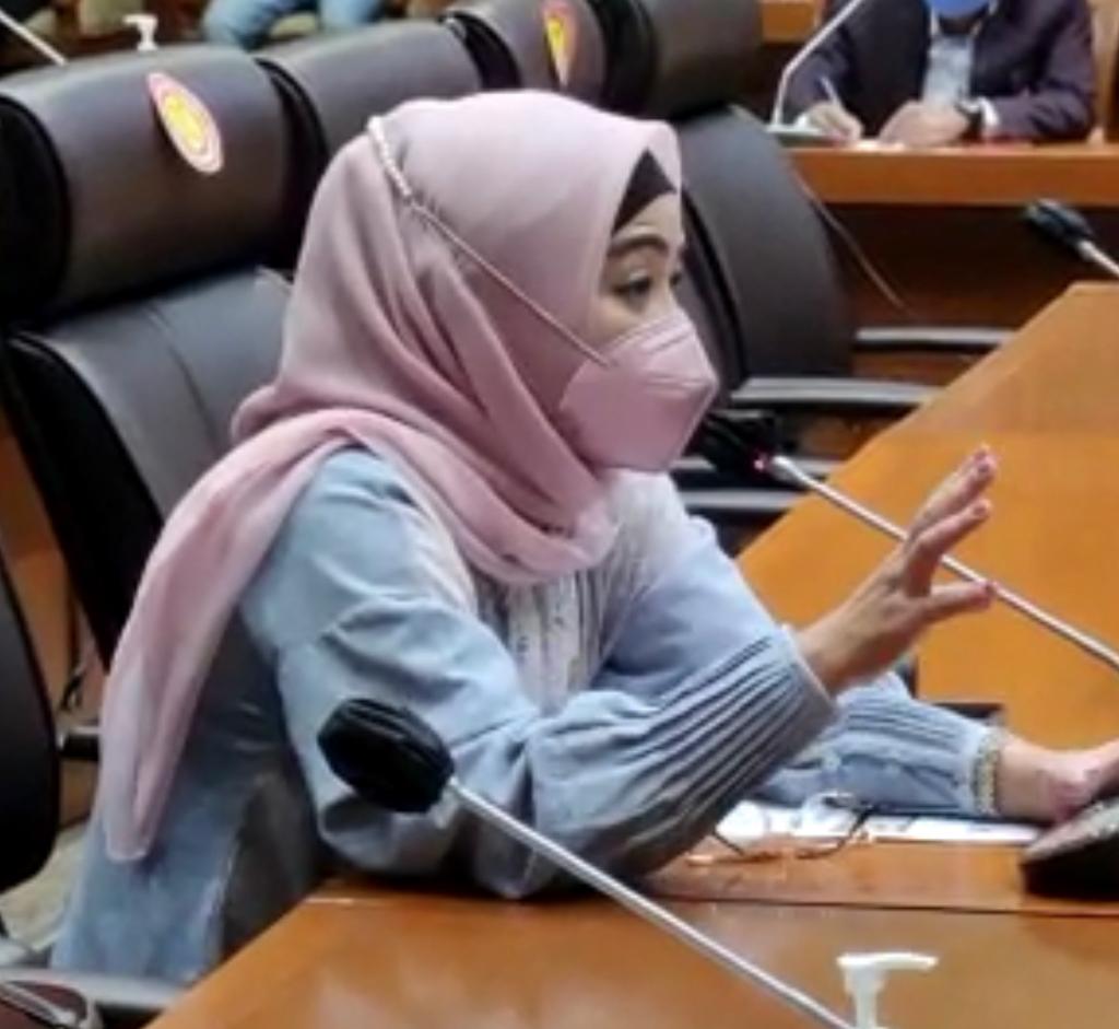  Anggota Komisi IX DPR, Dewi Aryani.